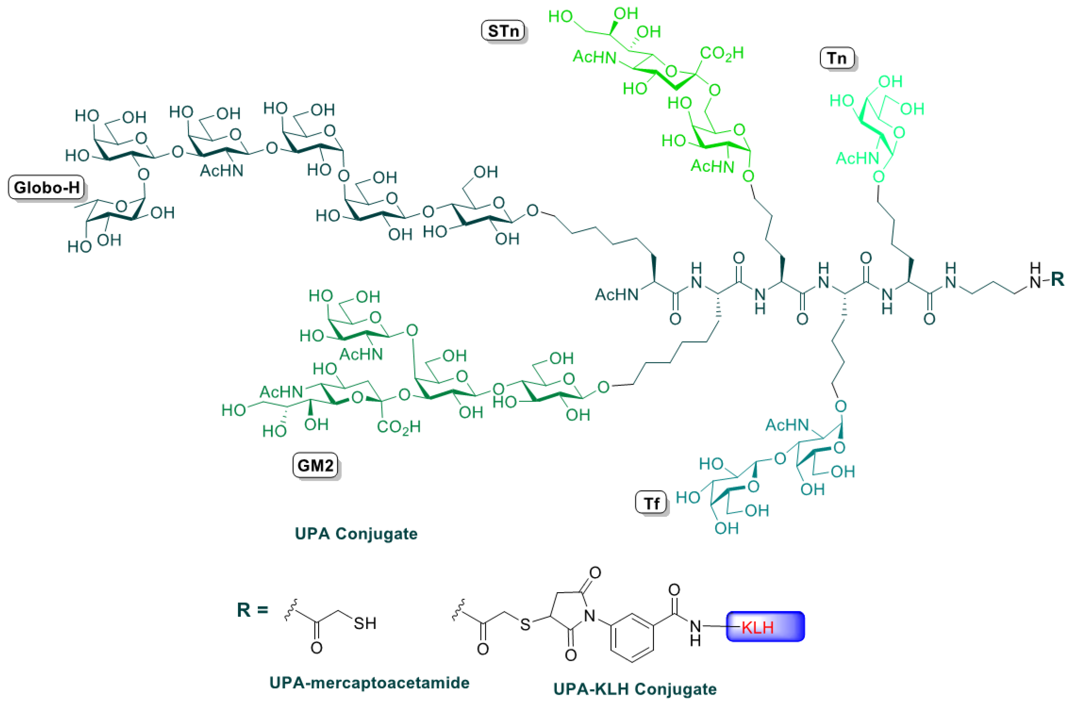 Cancers 08 00046 g001