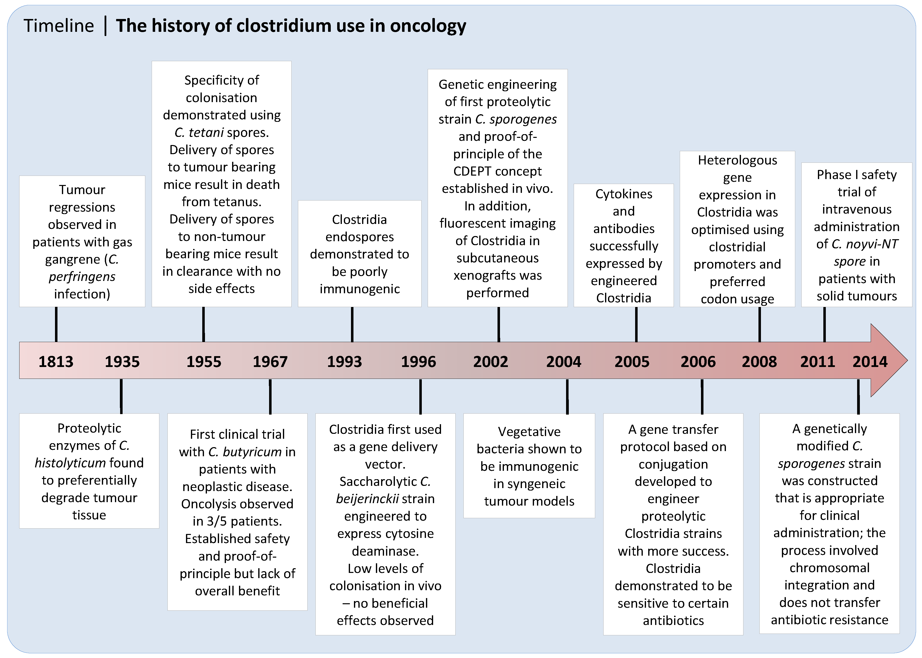 Cancers 08 00063 g002