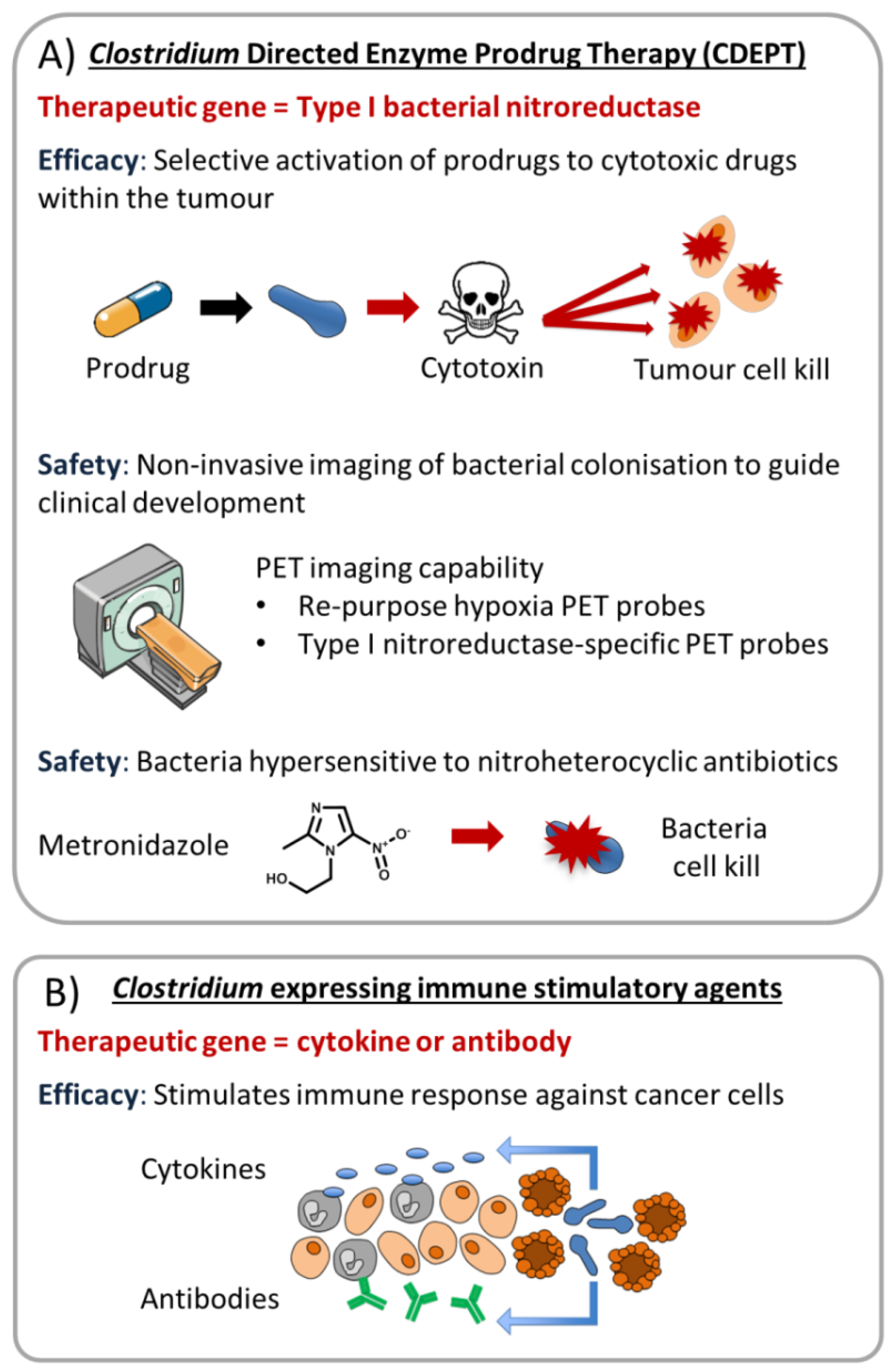Cancers 08 00063 g003