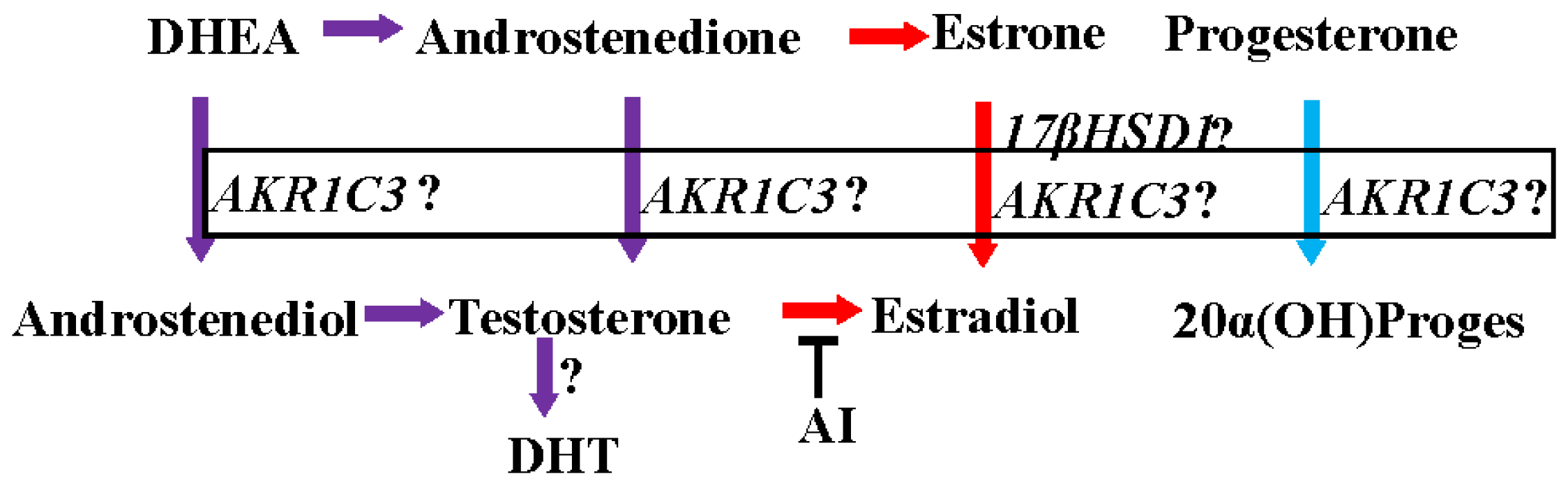 Cancers 08 00108 g001