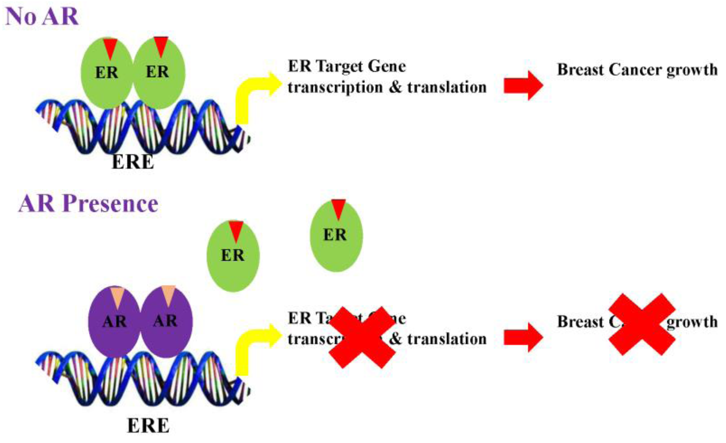 Cancers 08 00108 g002
