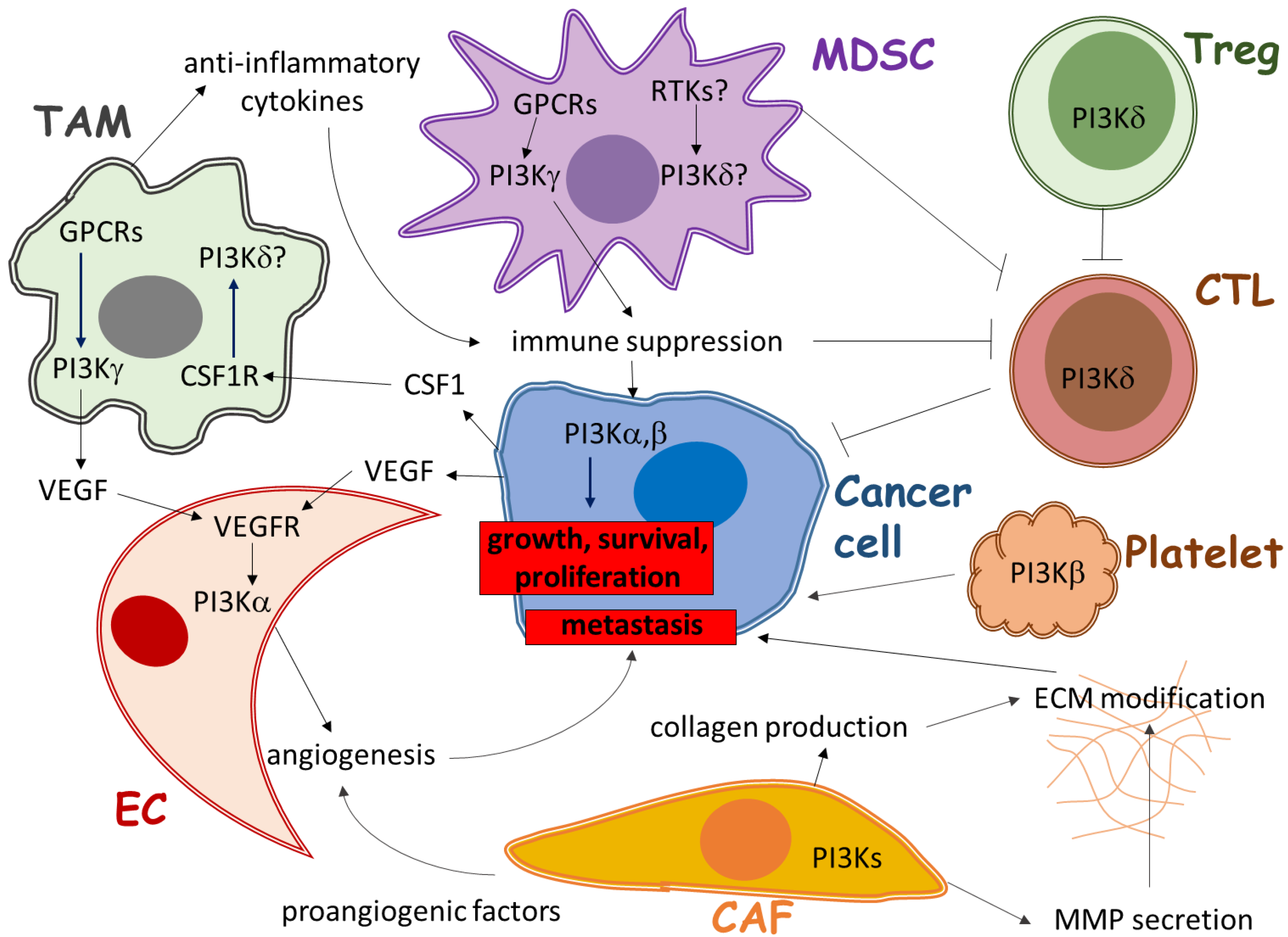Cancers 09 00024 g001