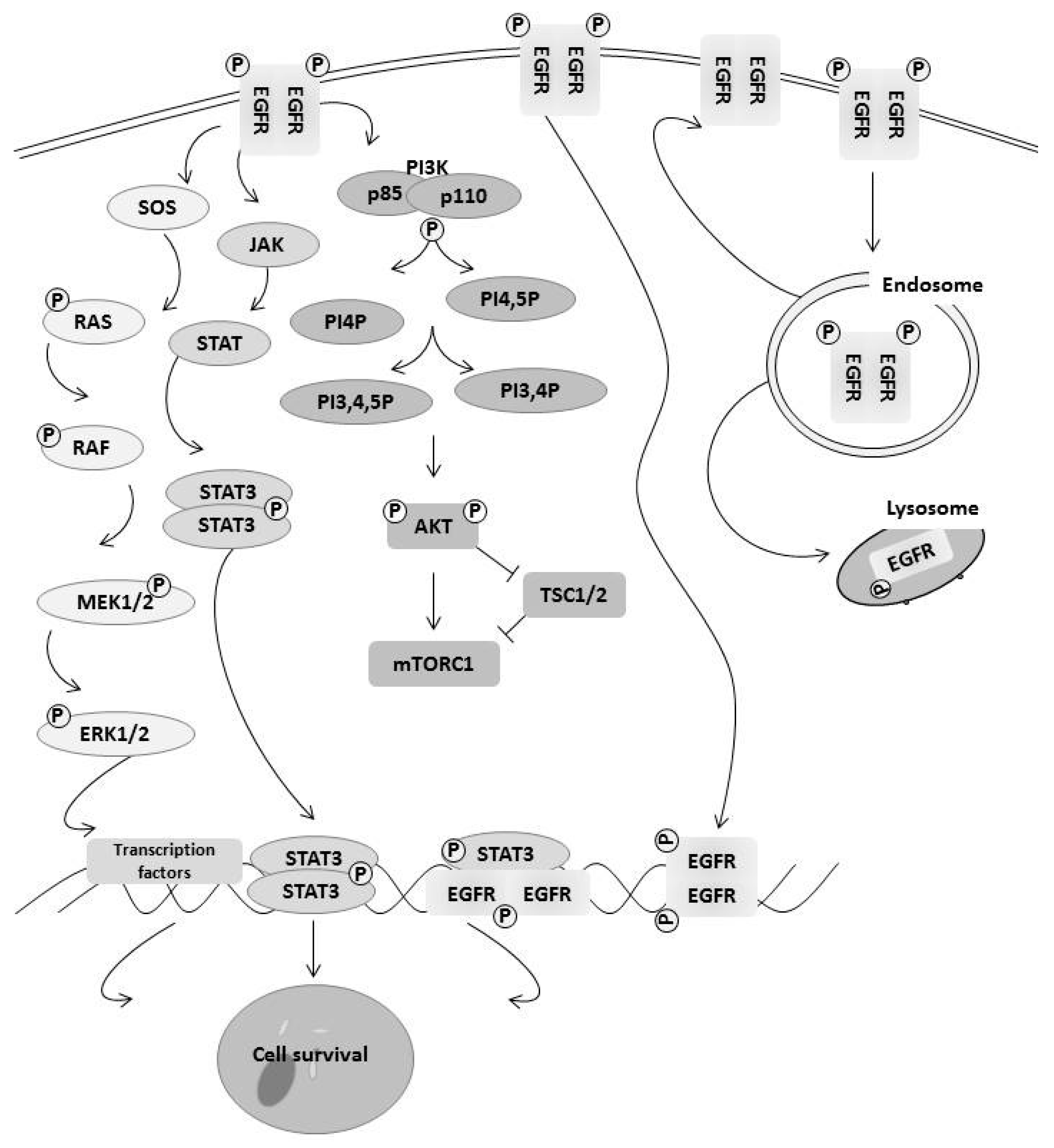 Cancers 09 00027 g001