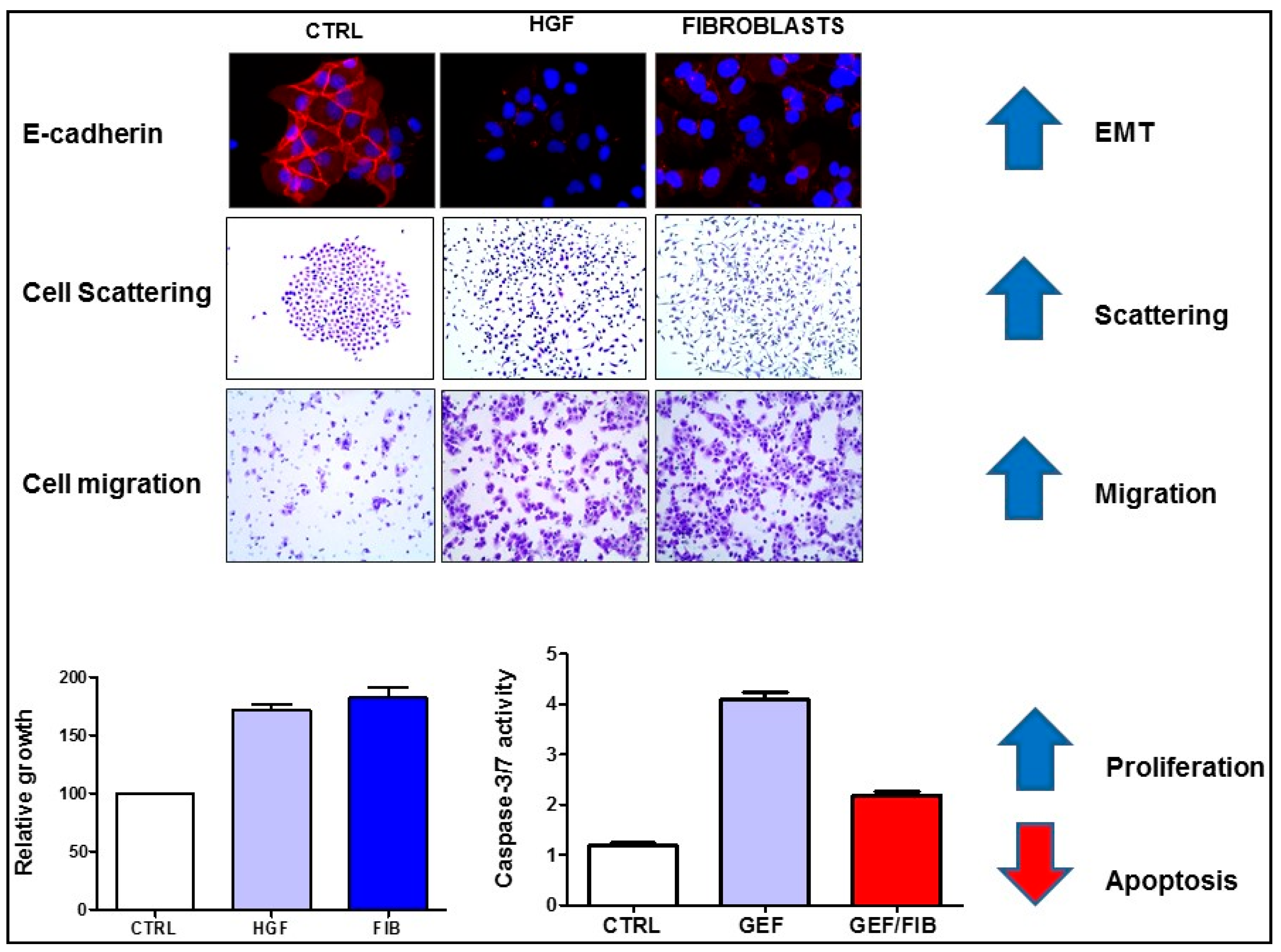 Cancers 09 00035 g002
