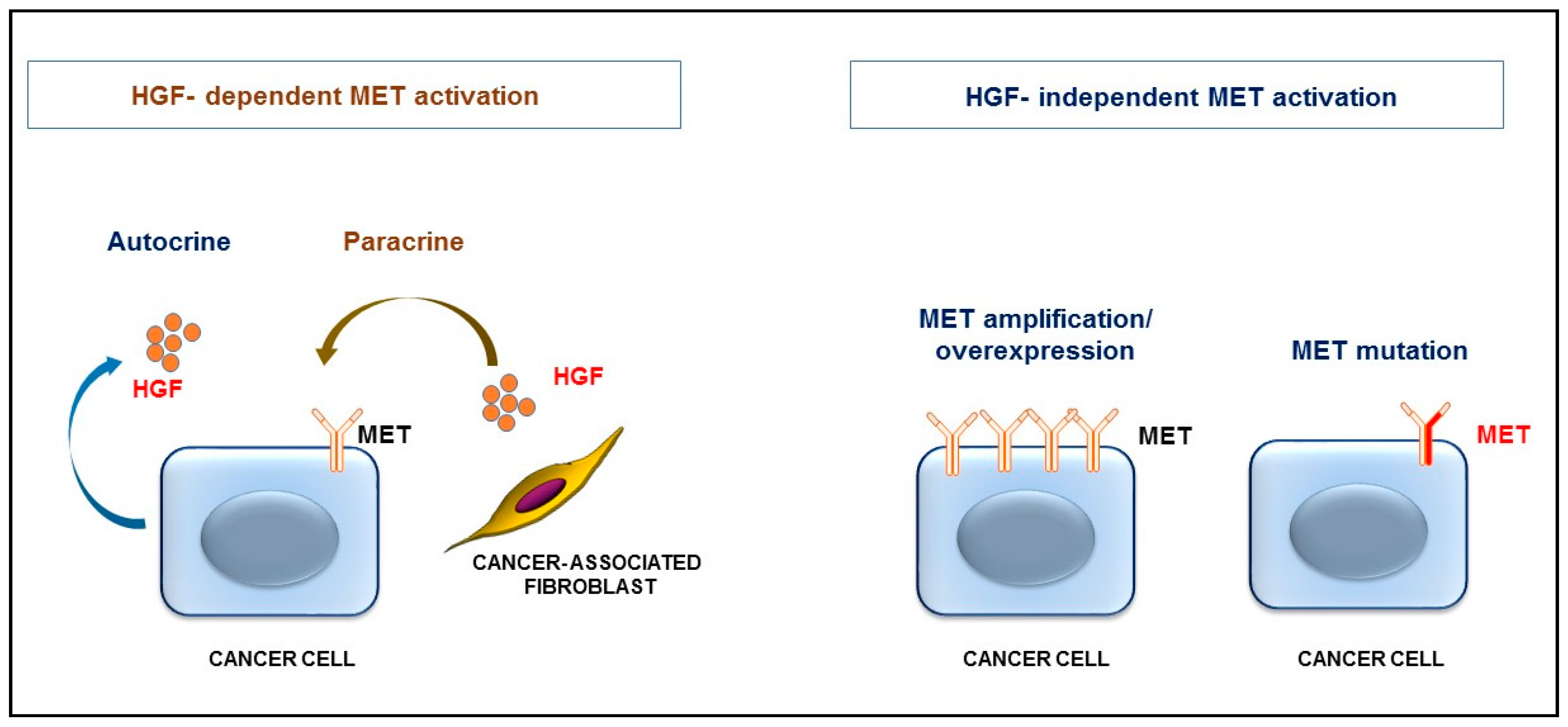 Cancers 09 00035 g004