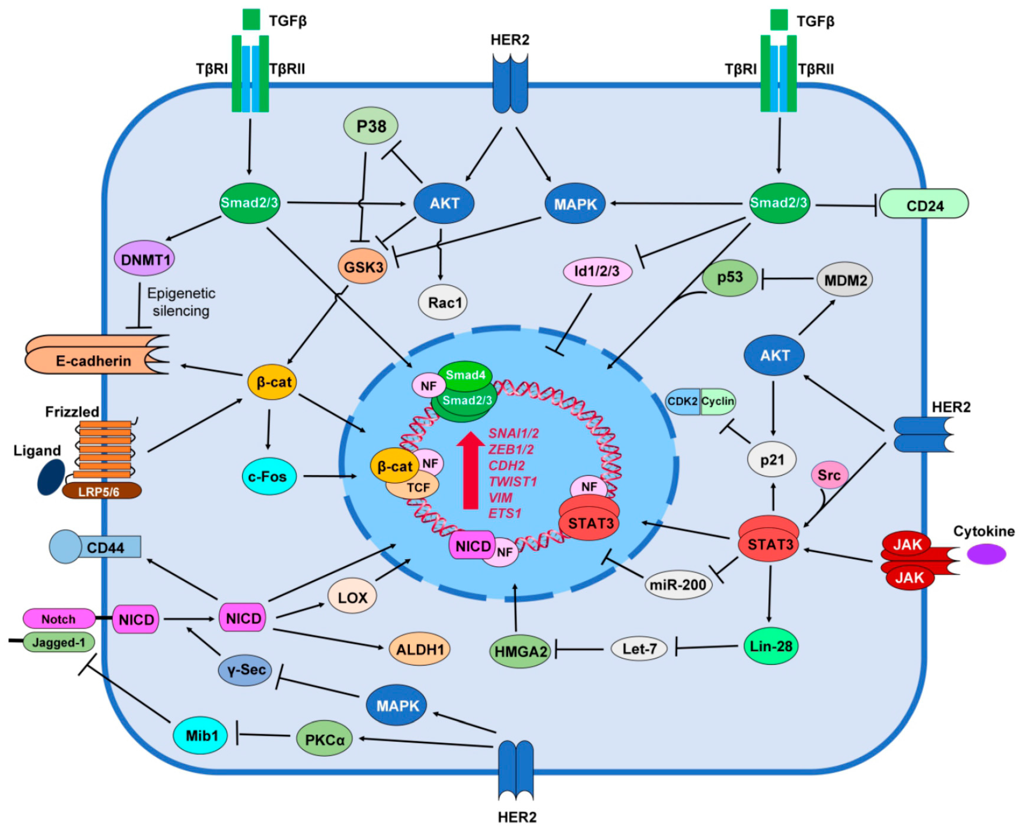 Cancers 09 00040 g001
