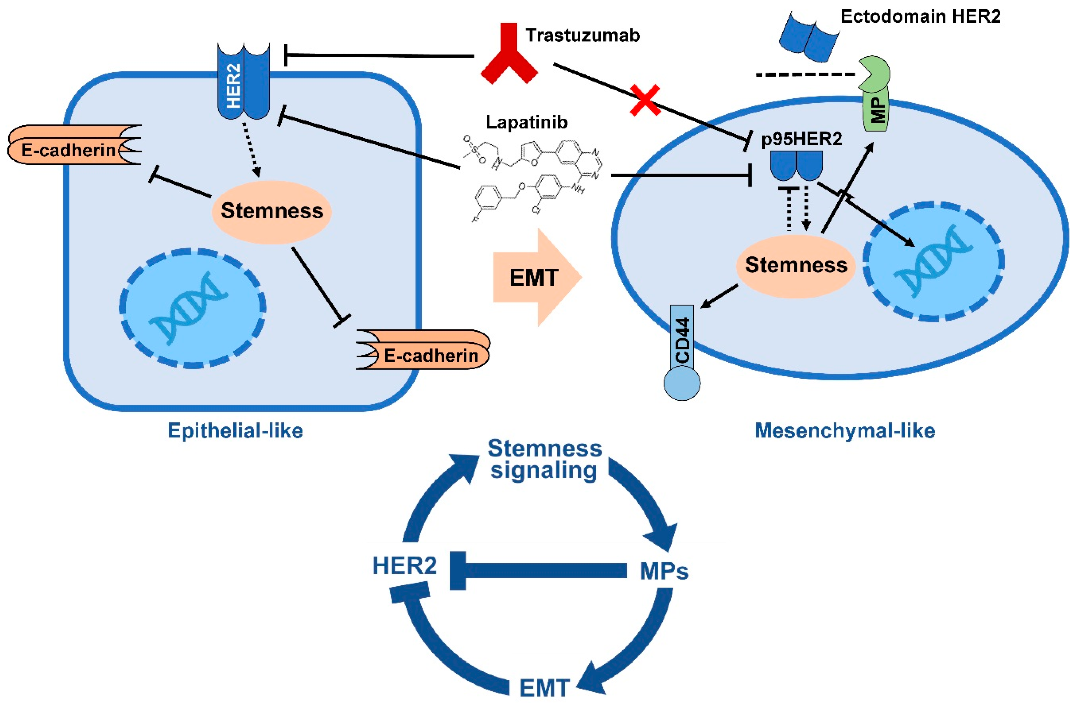 Cancers 09 00040 g002