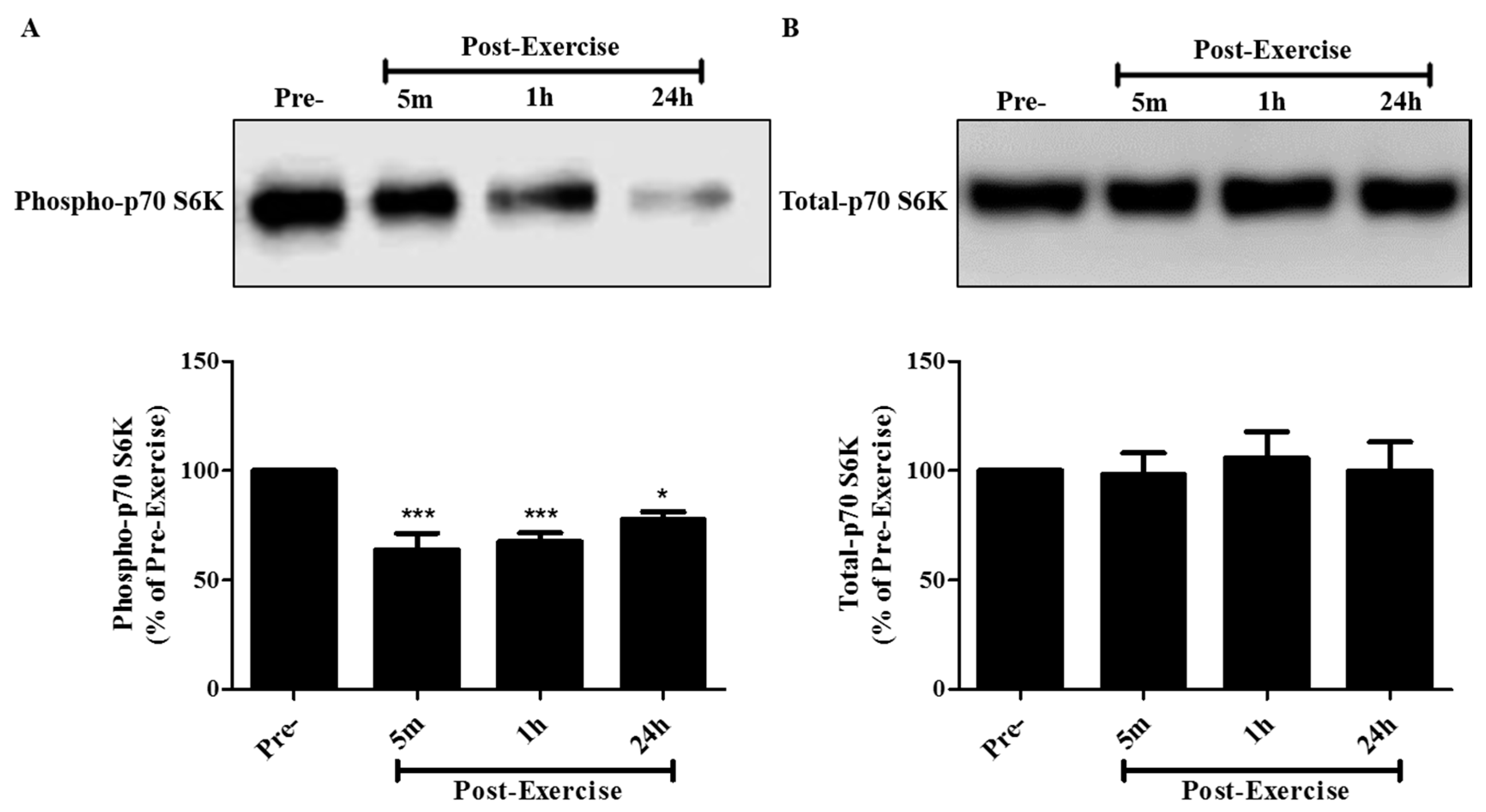Cancers 09 00046 g005