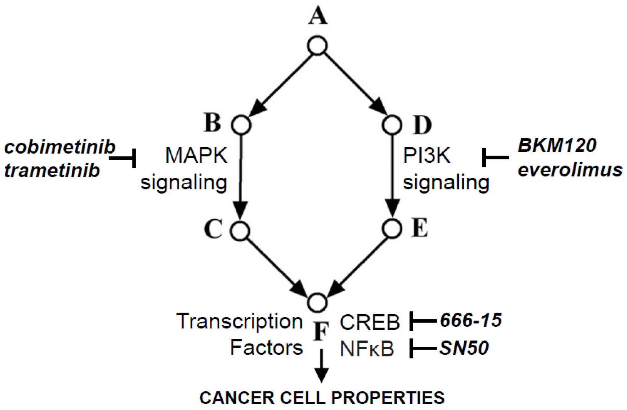 Cancers 09 00060 g001