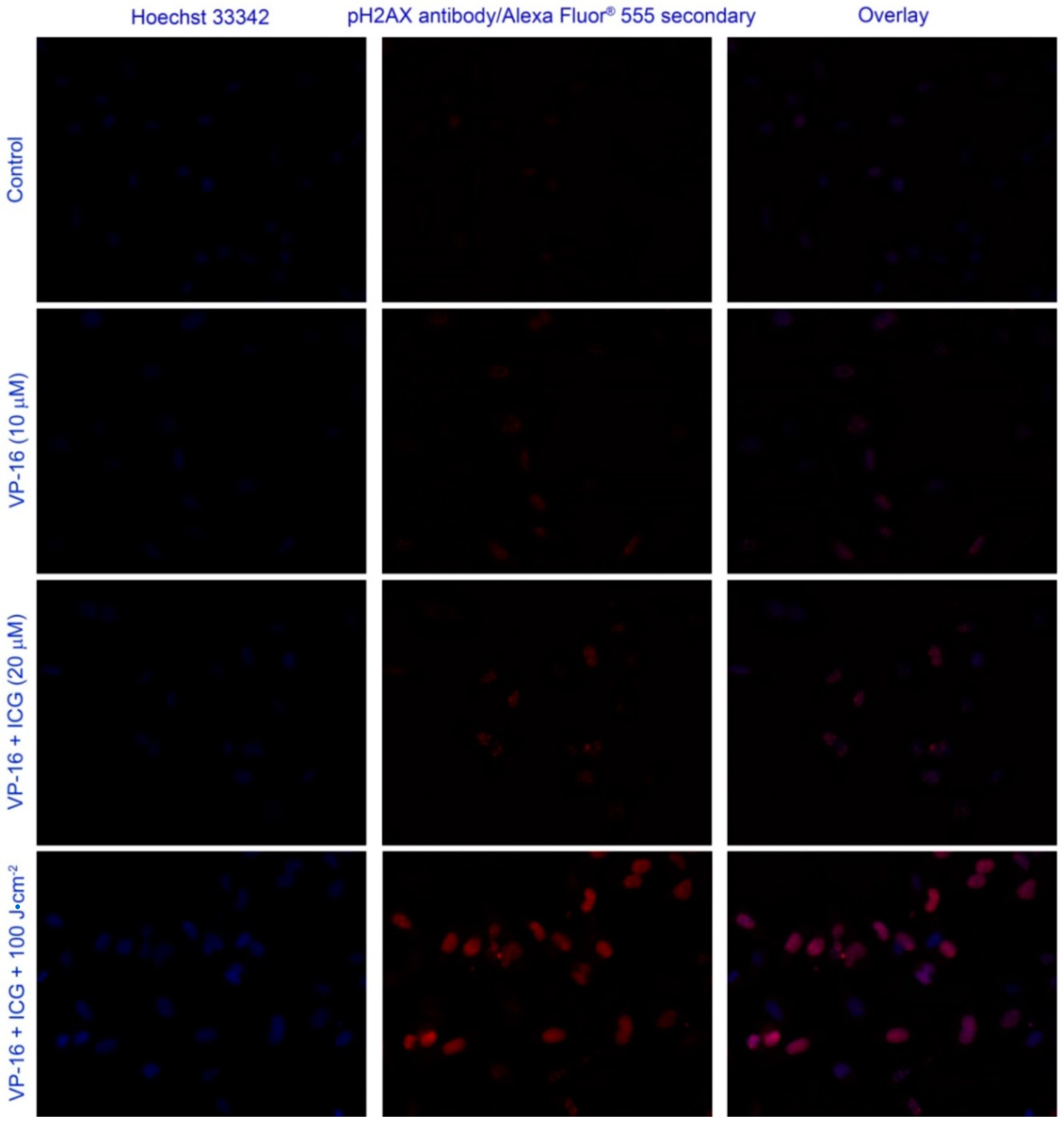 Cancers 09 00063 g007