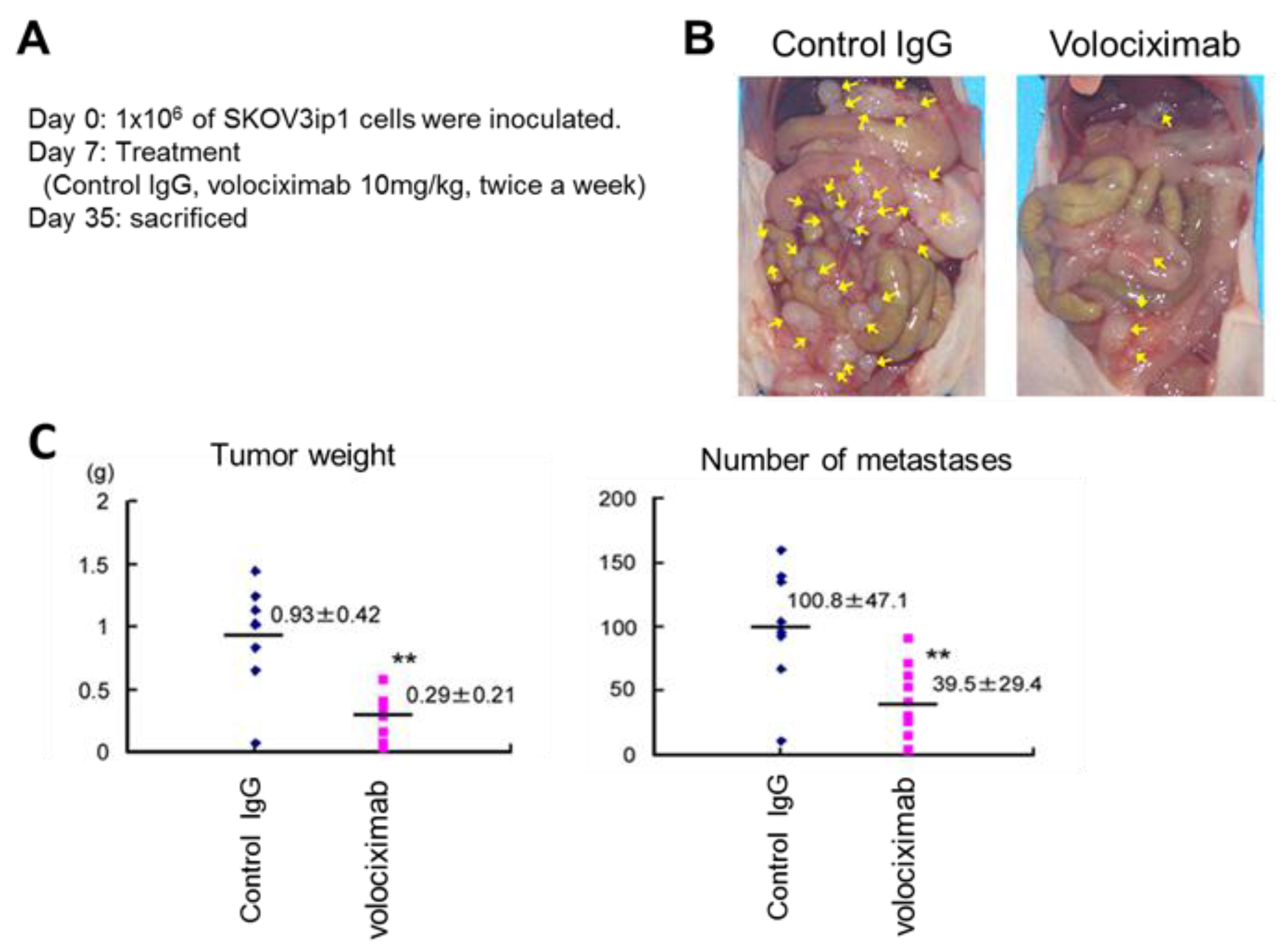 Cancers 09 00083 g002