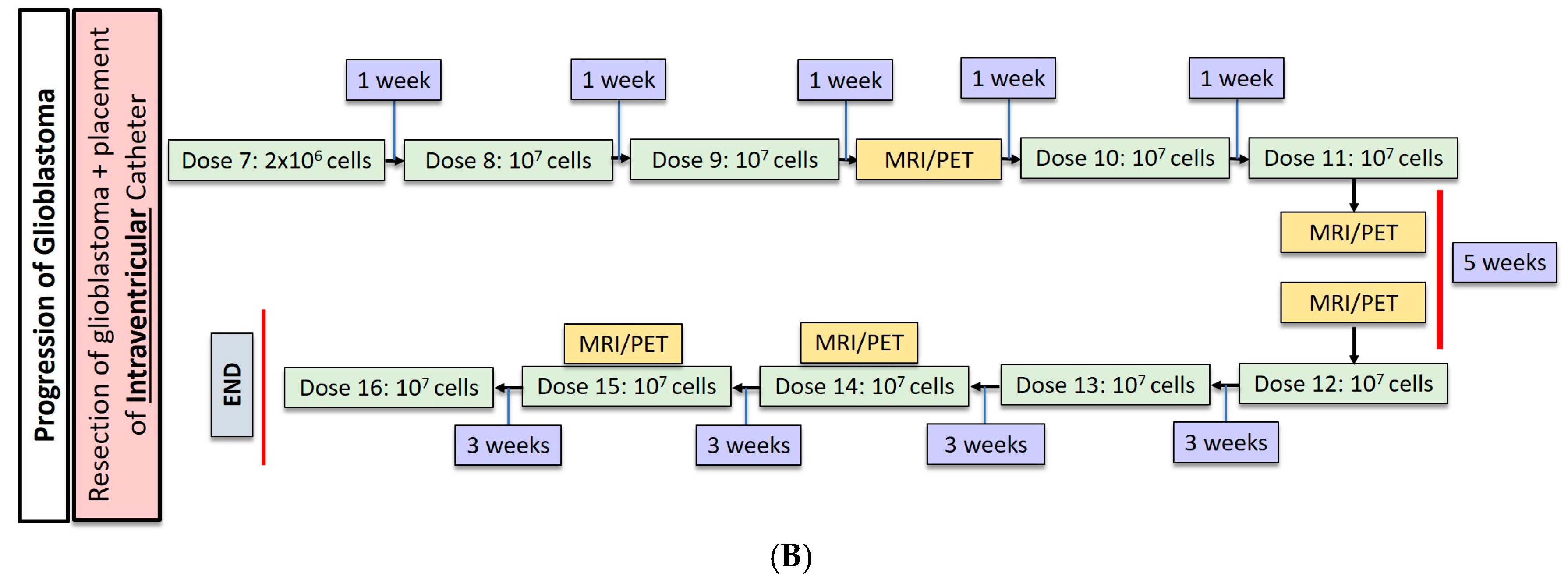 Cancers 09 00092 g001b