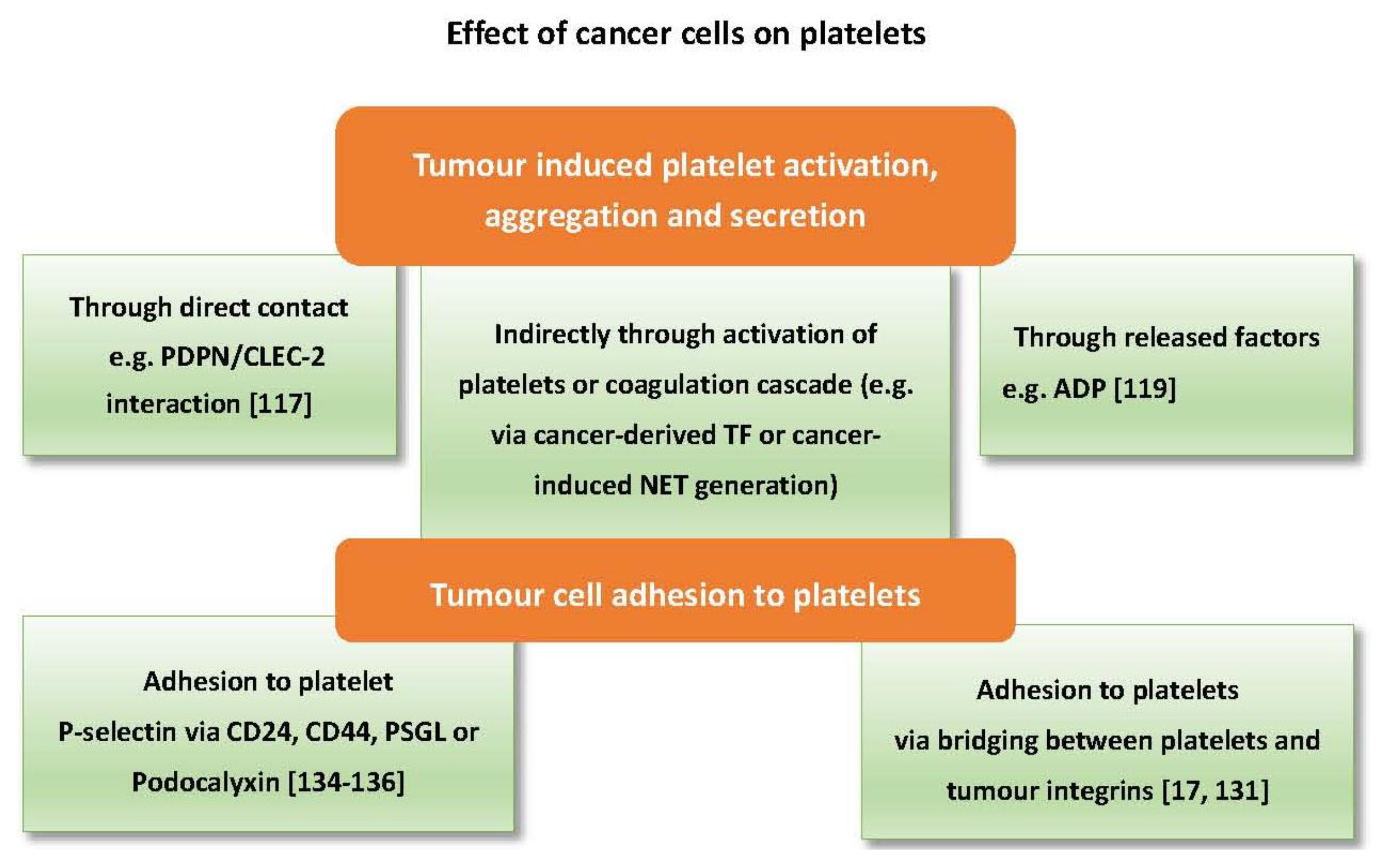 Cancers 09 00094 g003