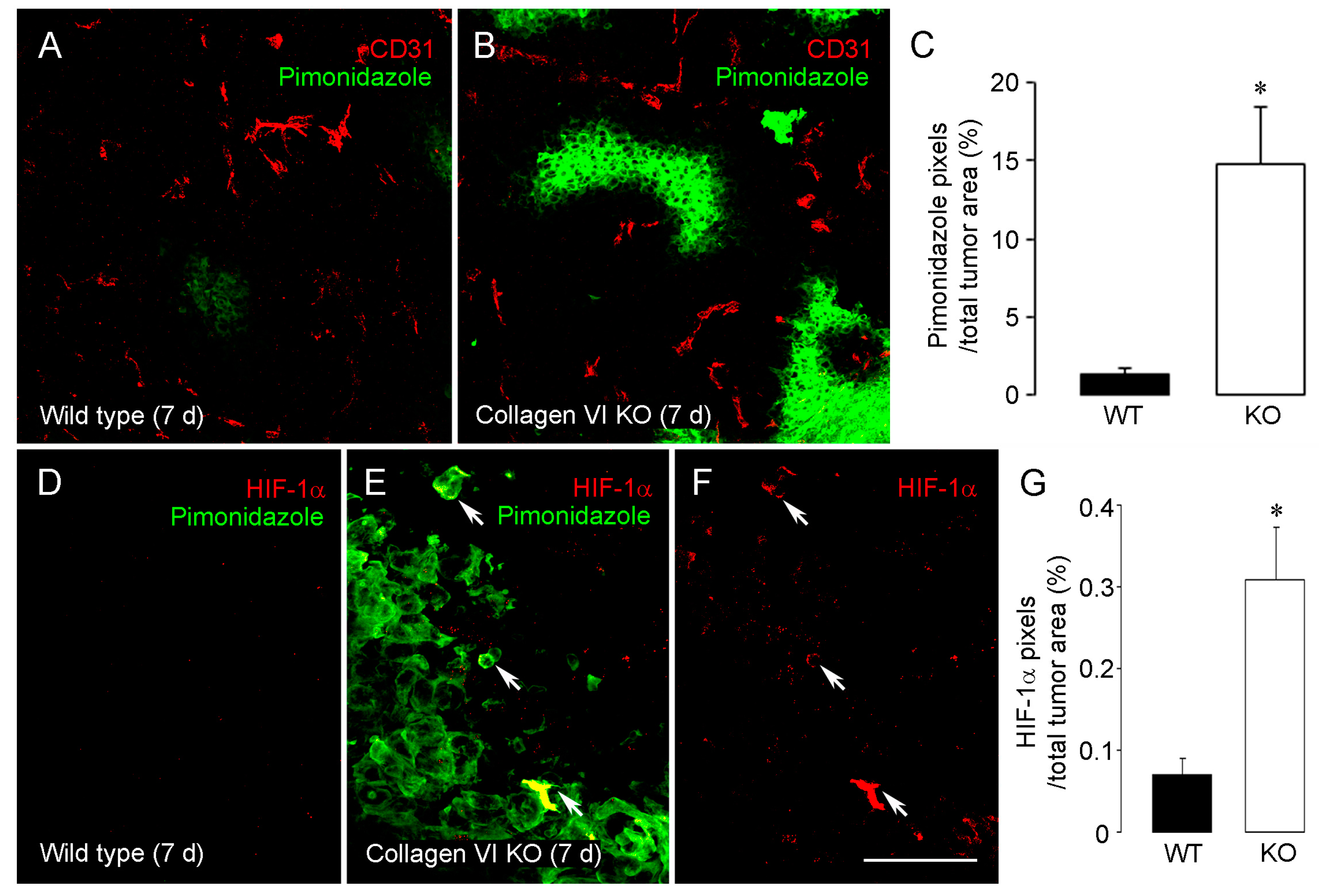 Cancers 09 00097 g001