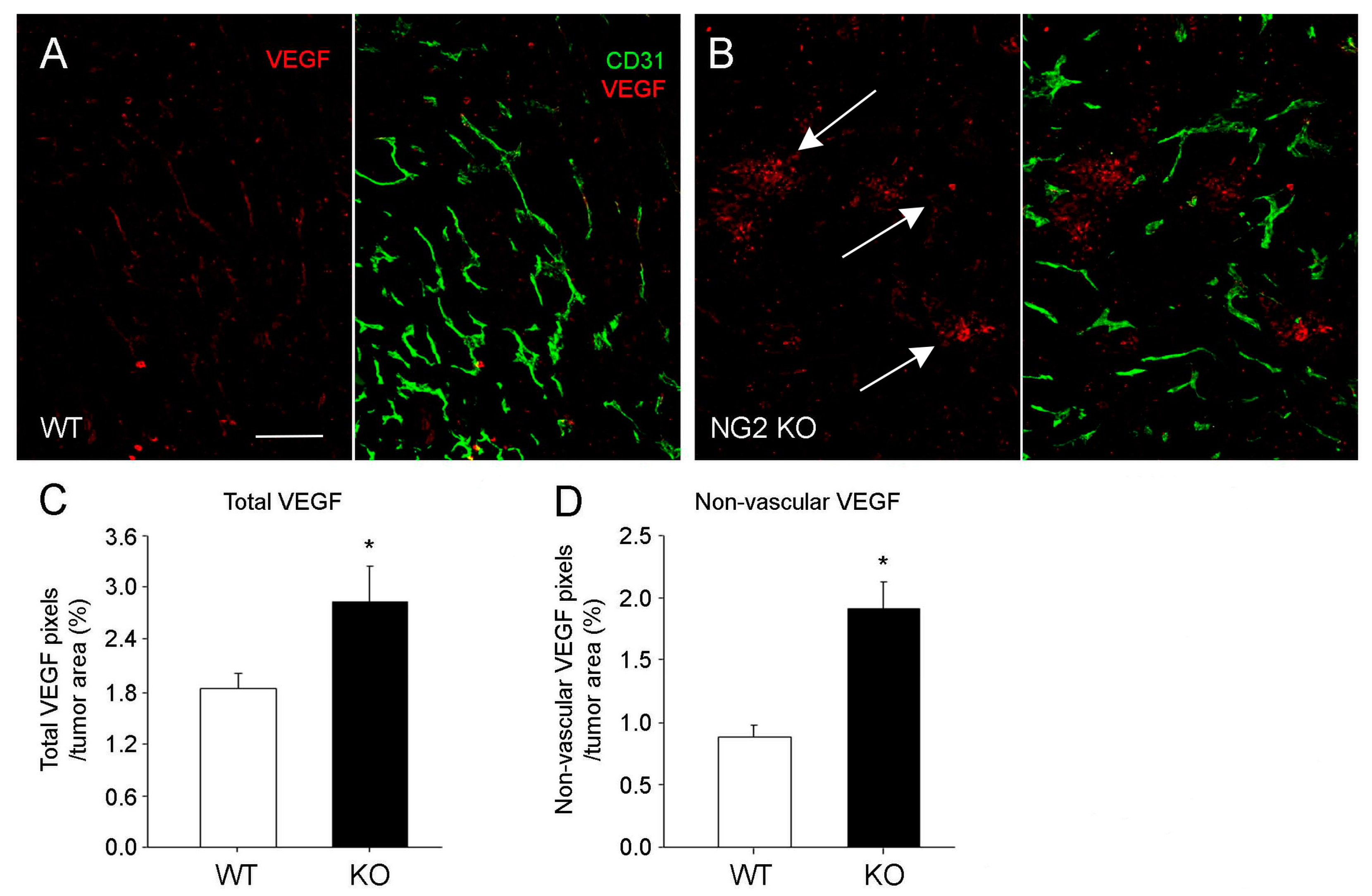 Cancers 09 00097 g004