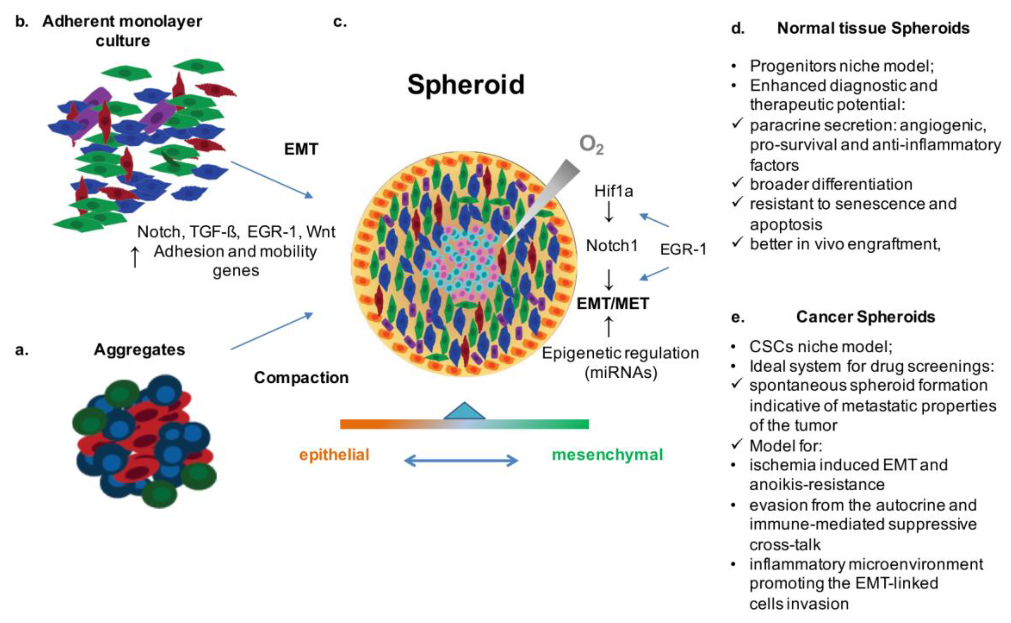 Cancers 09 00098 g001
