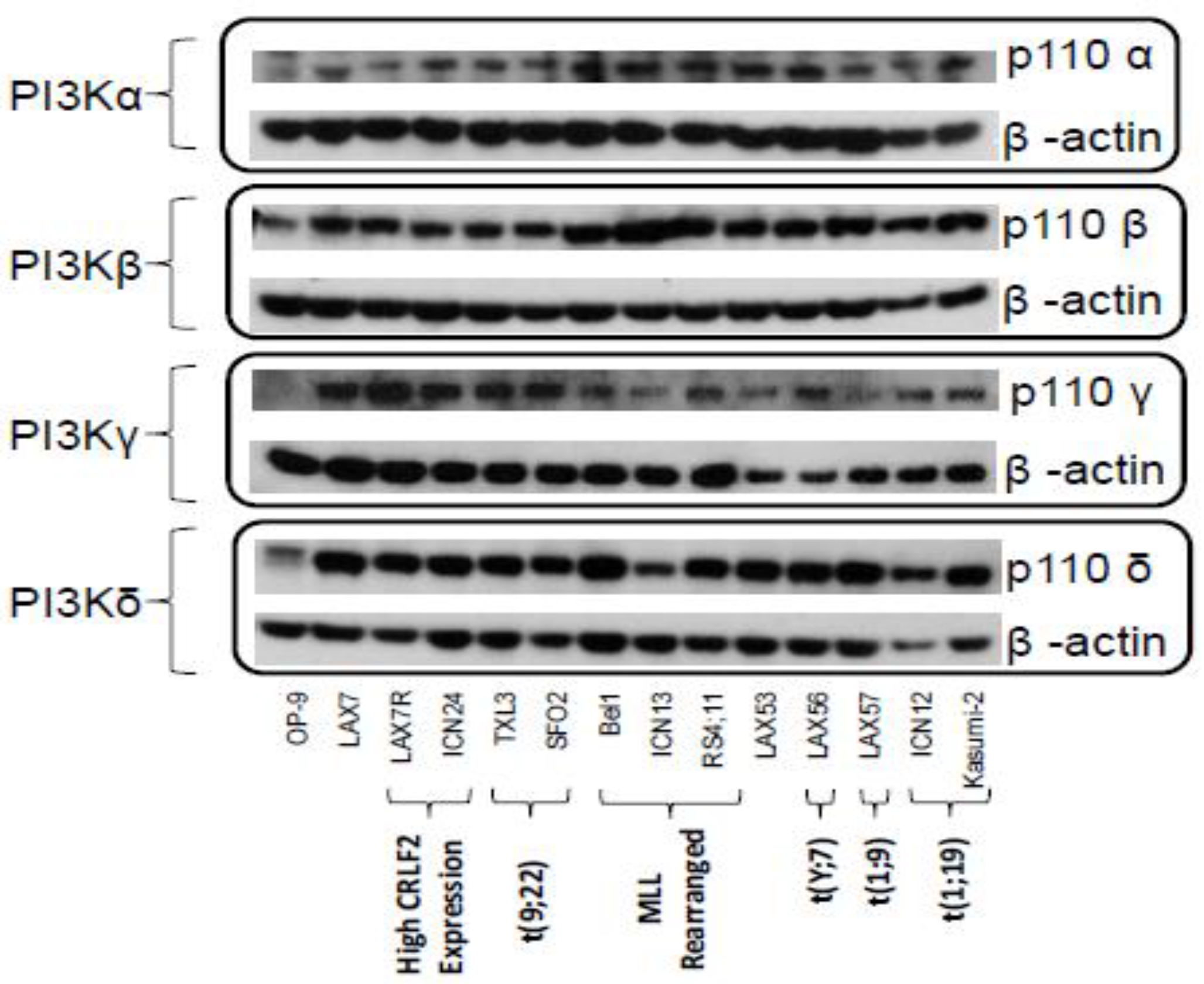 Cancers 09 00121 g001