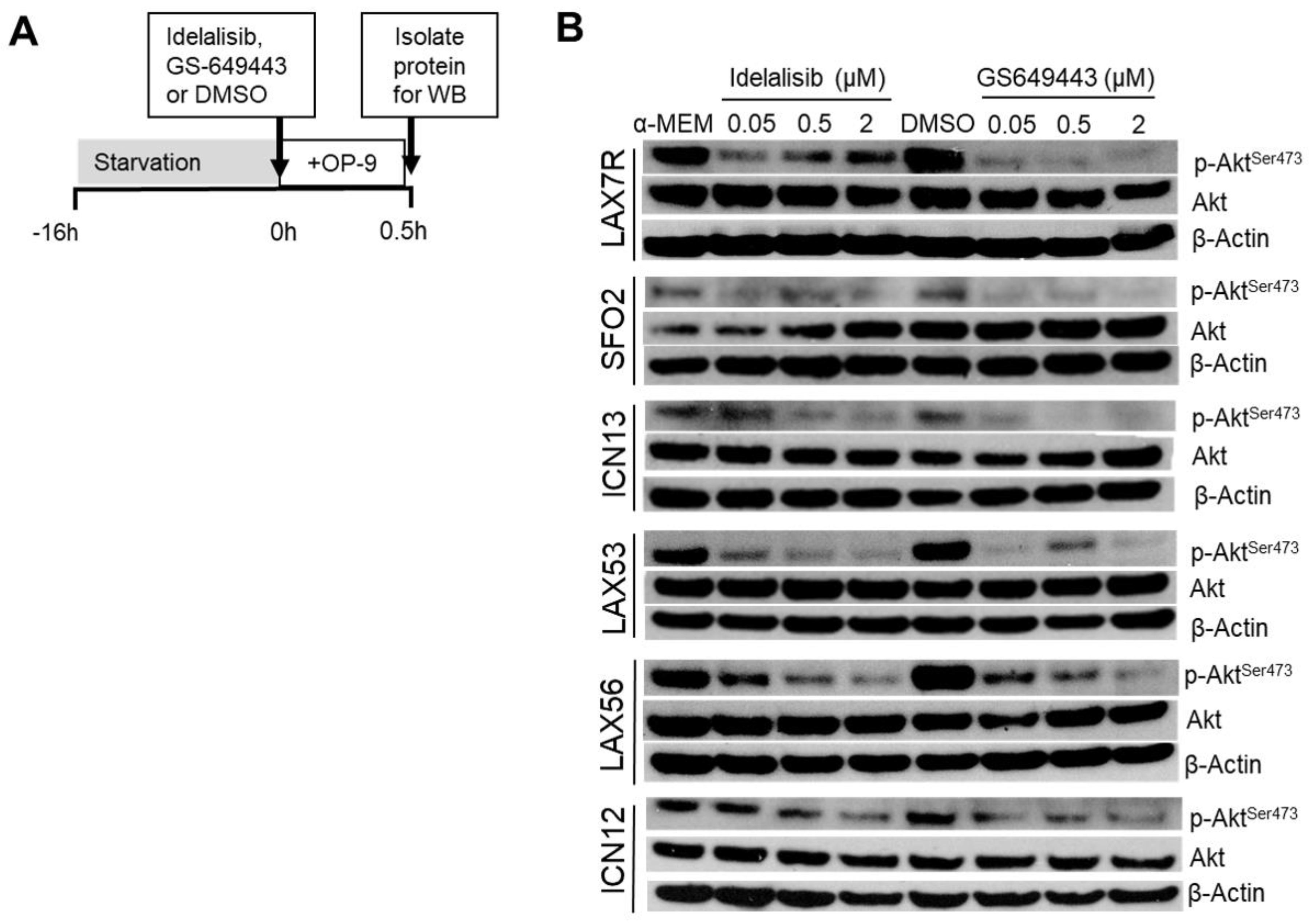 Cancers 09 00121 g003