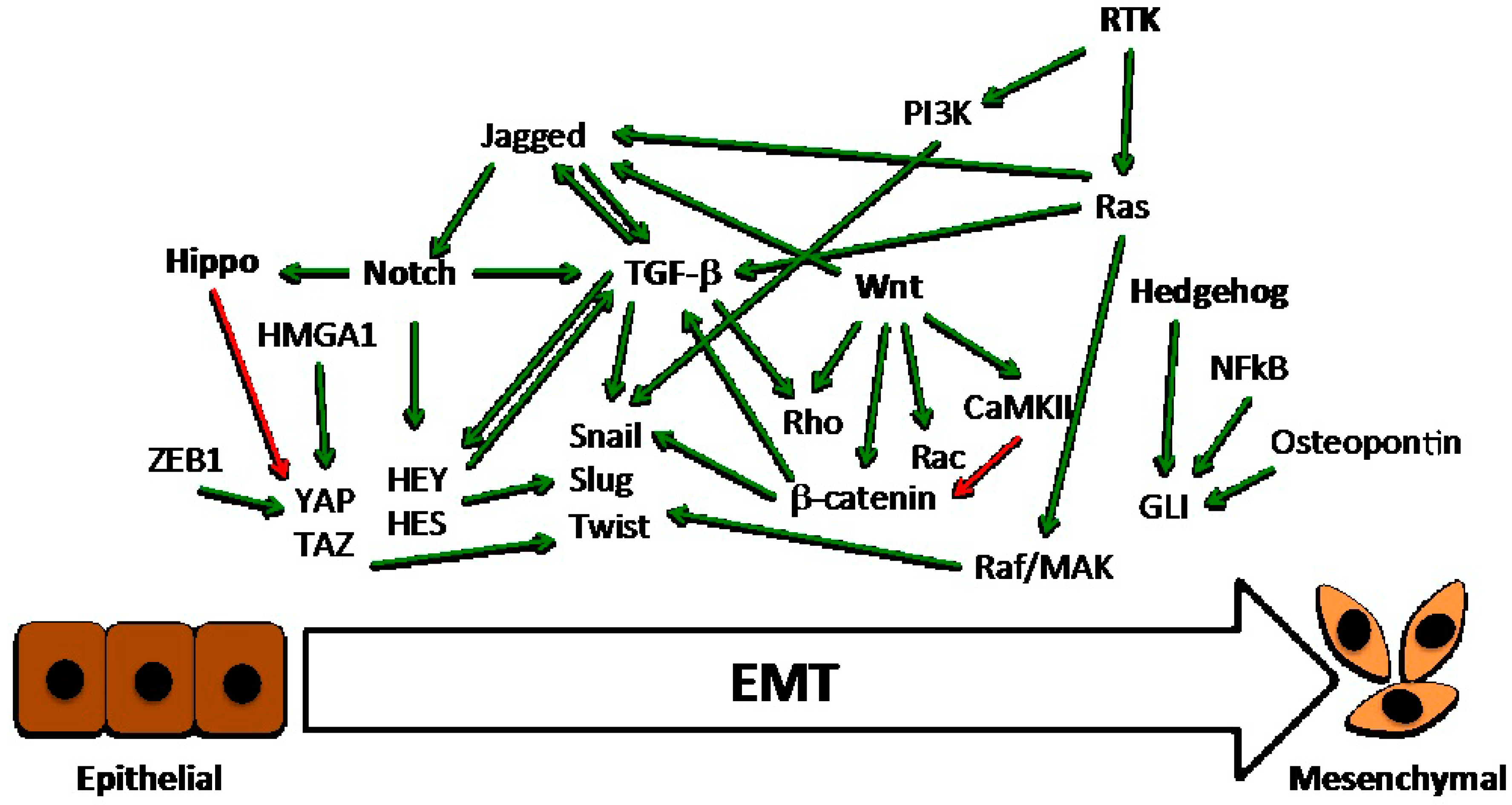 Cancers 09 00134 g002