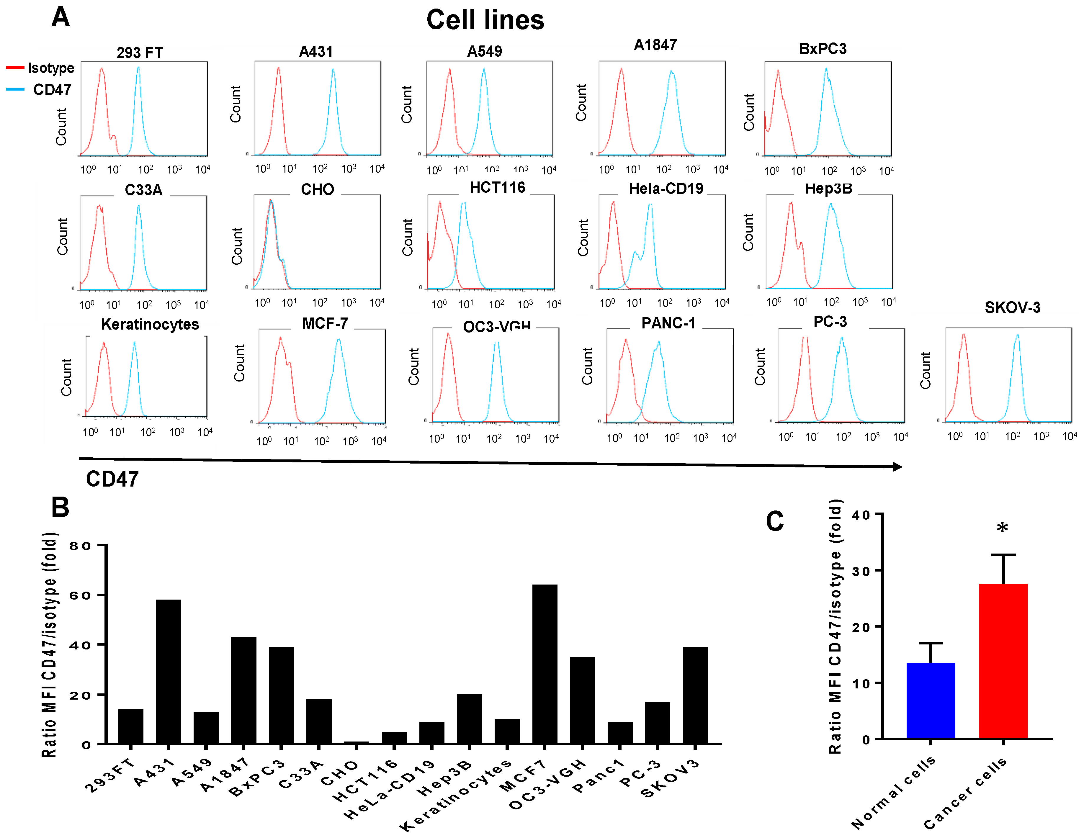 Cancers 09 00139 g001