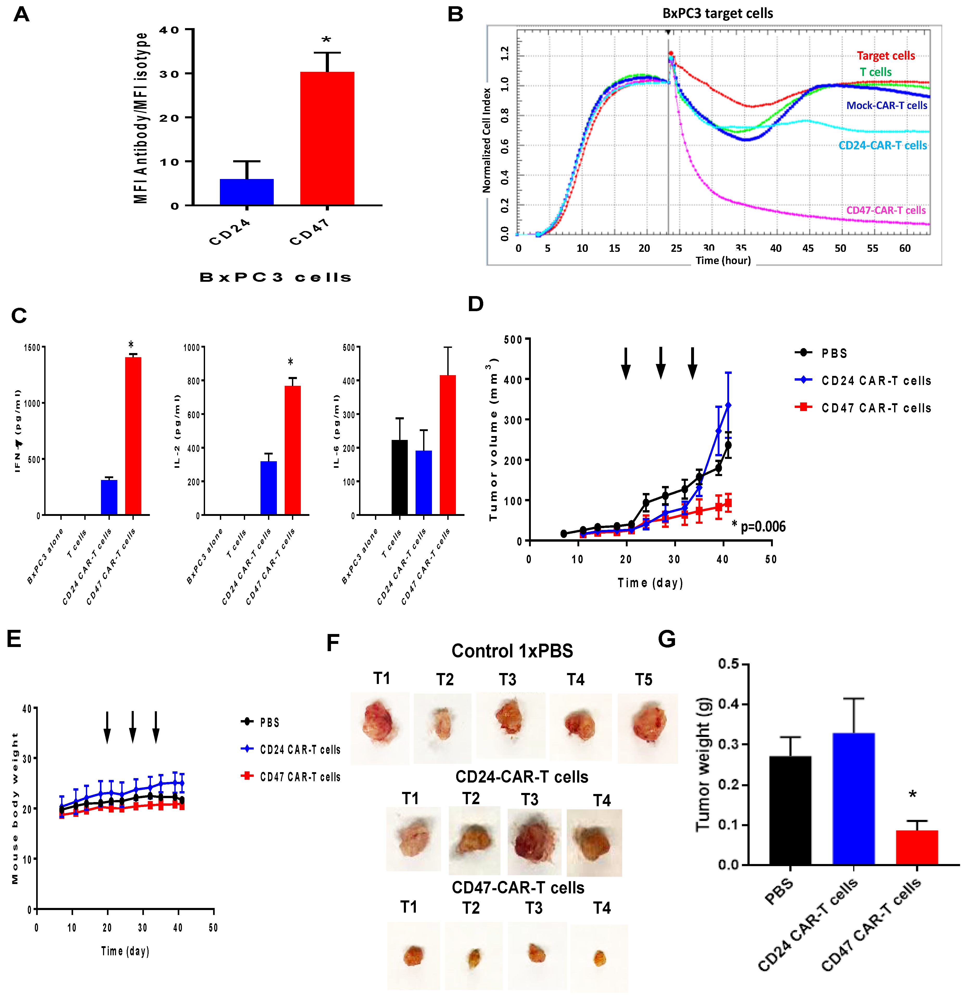 Cancers 09 00139 g003