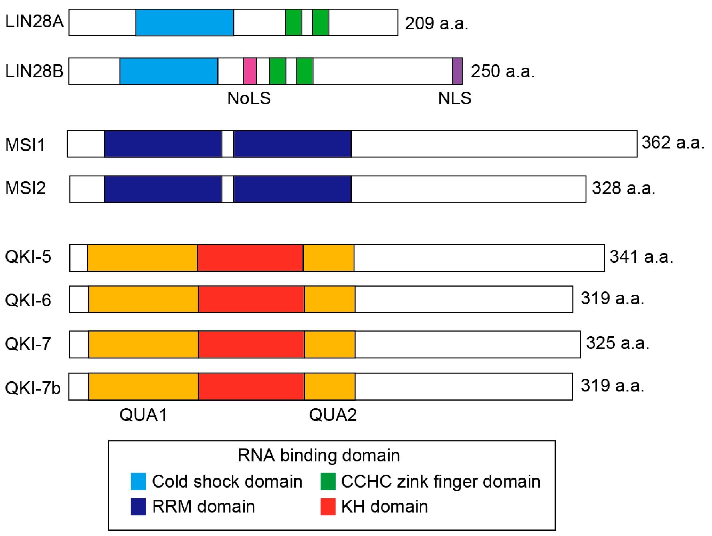 Cancers 09 00143 g003 Cancers 09 00143 g003