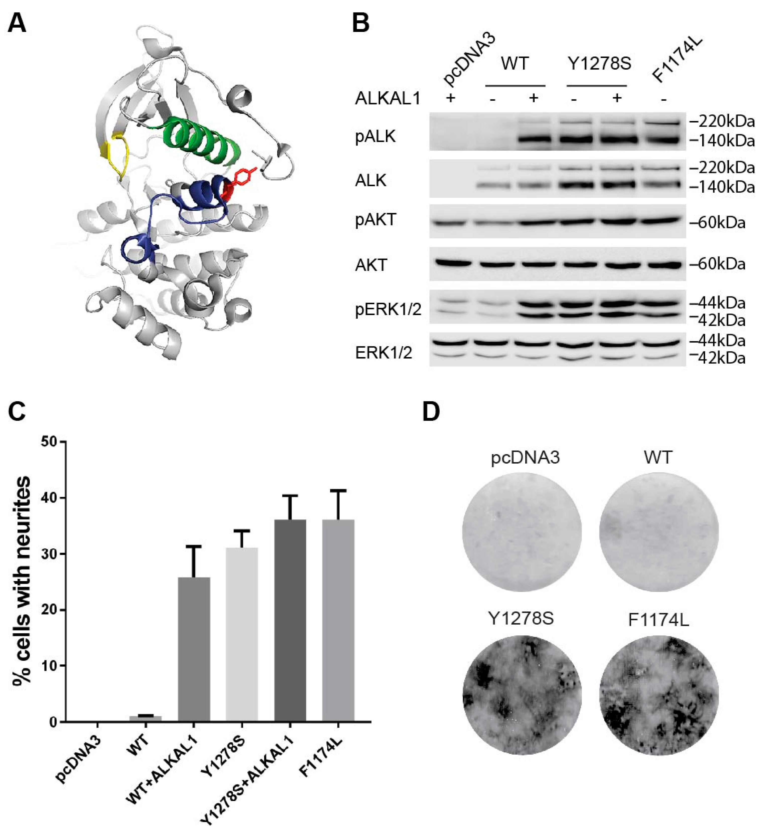 Cancers 09 00149 g001