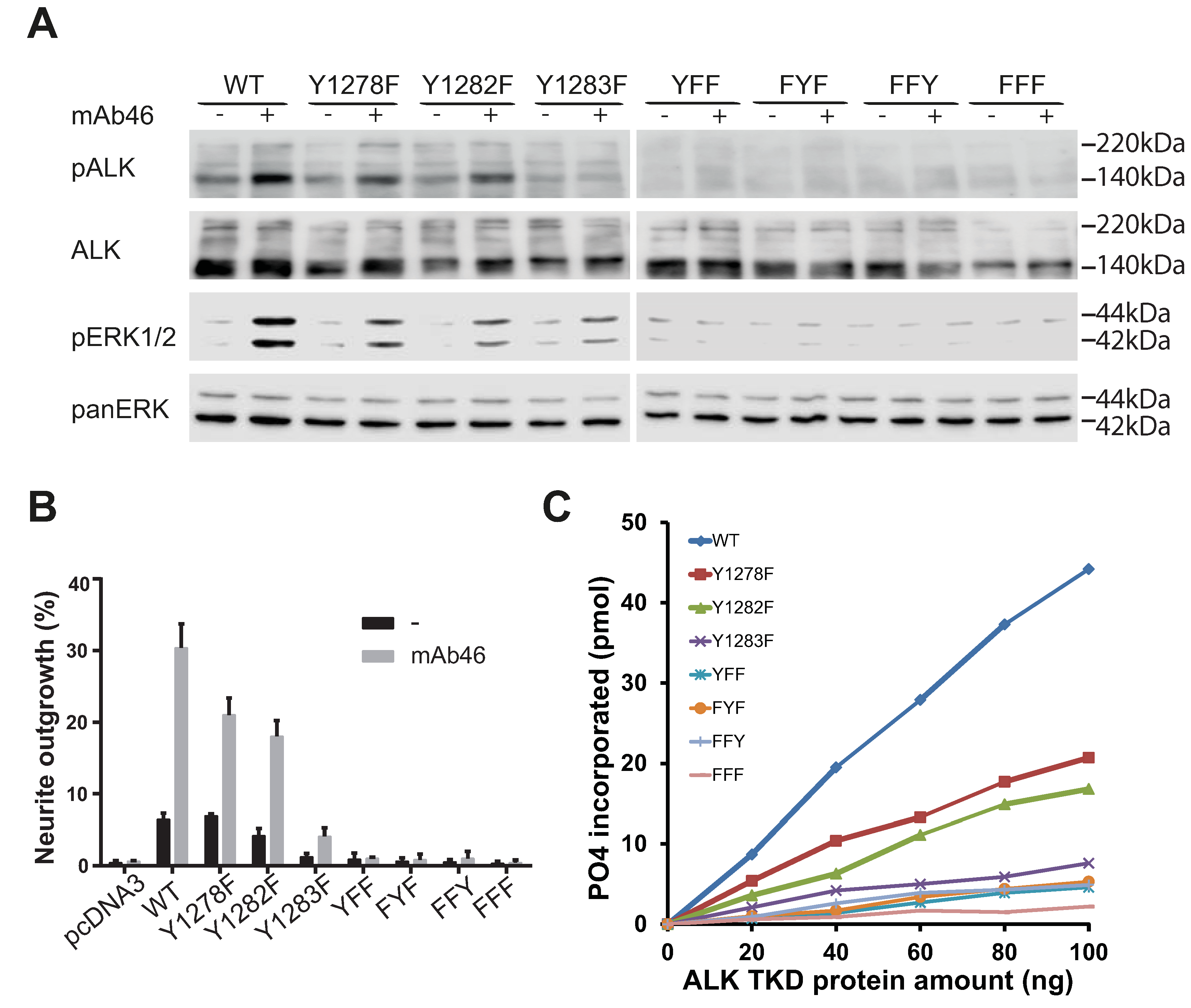 Cancers 09 00149 g004