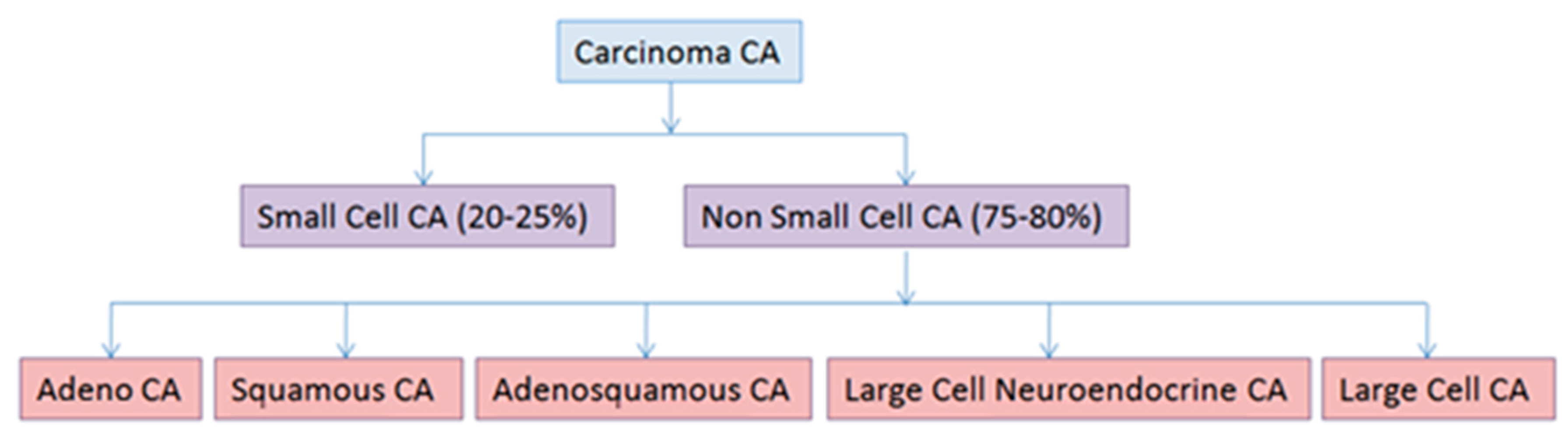 Cancers 09 00155 g001
