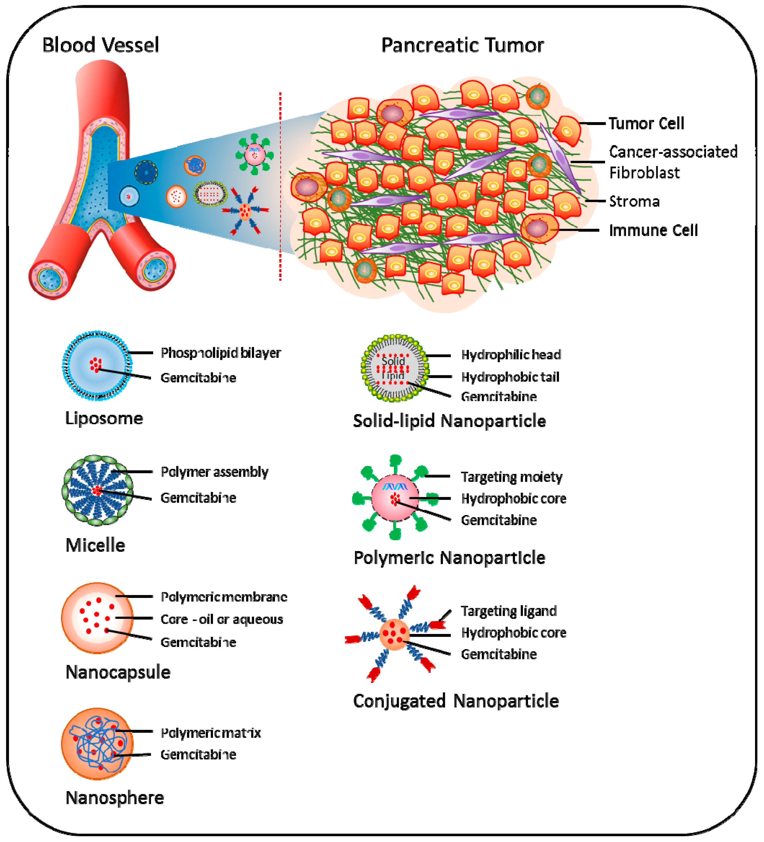 Cancers 09 00157 g003 Cancers 09 00157 g003