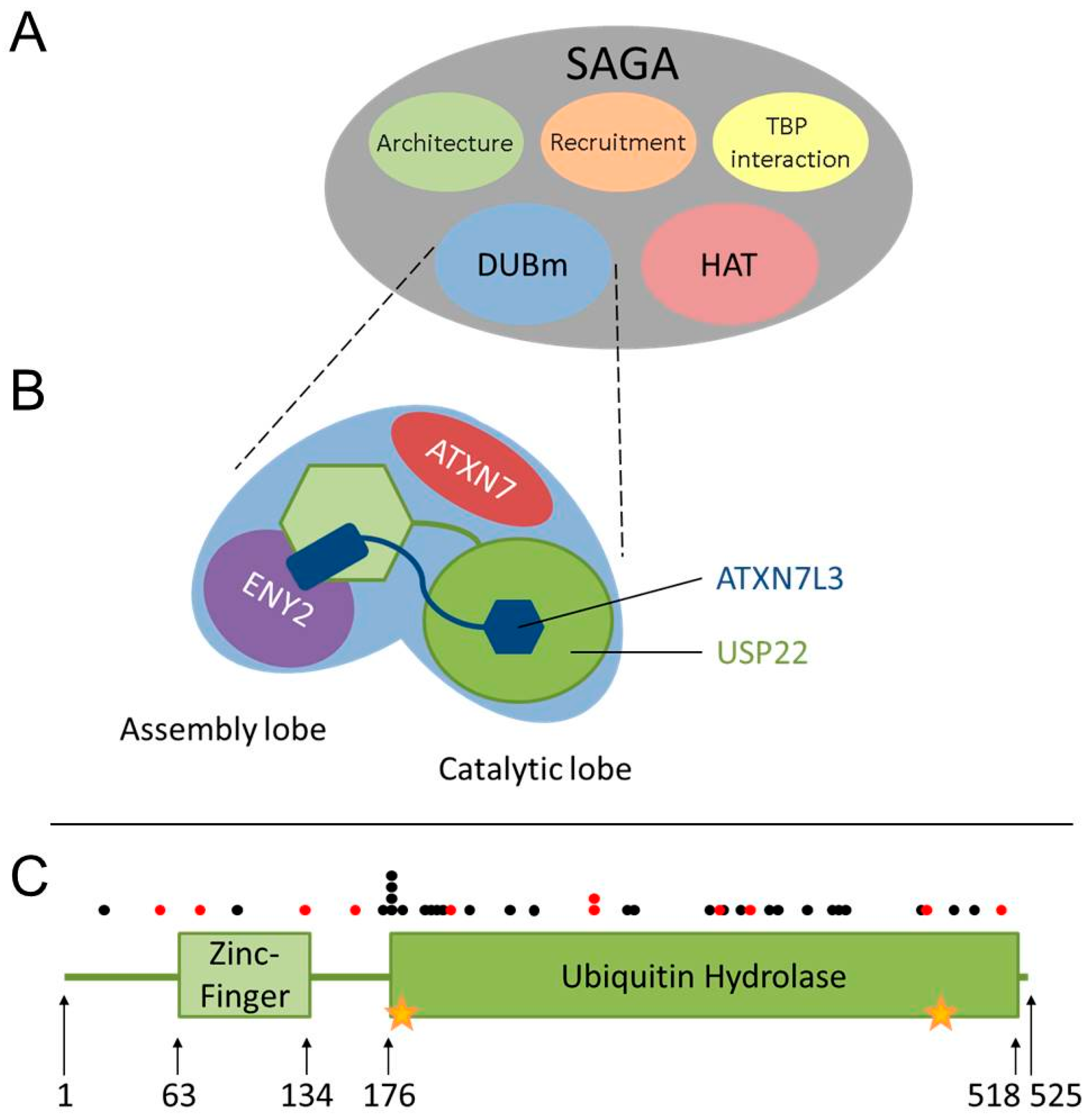 Cancers 09 00167 g002 Cancers 09 00167 g002
