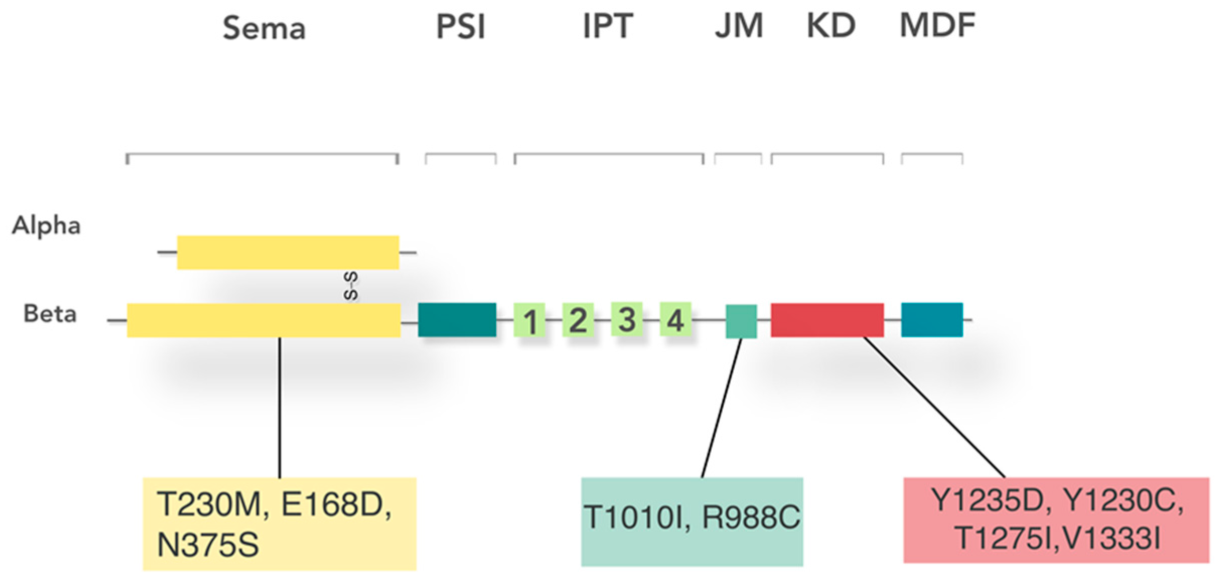 Cancers 09 00169 g003