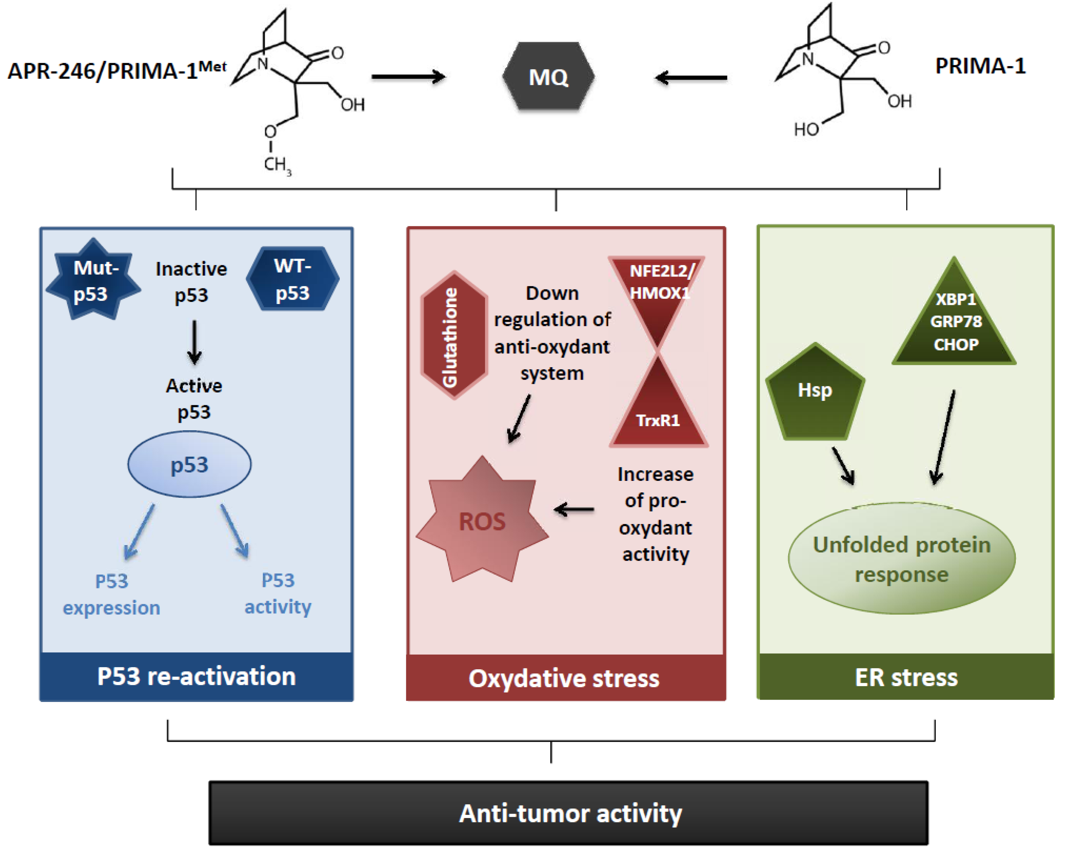 Cancers 09 00172 g001