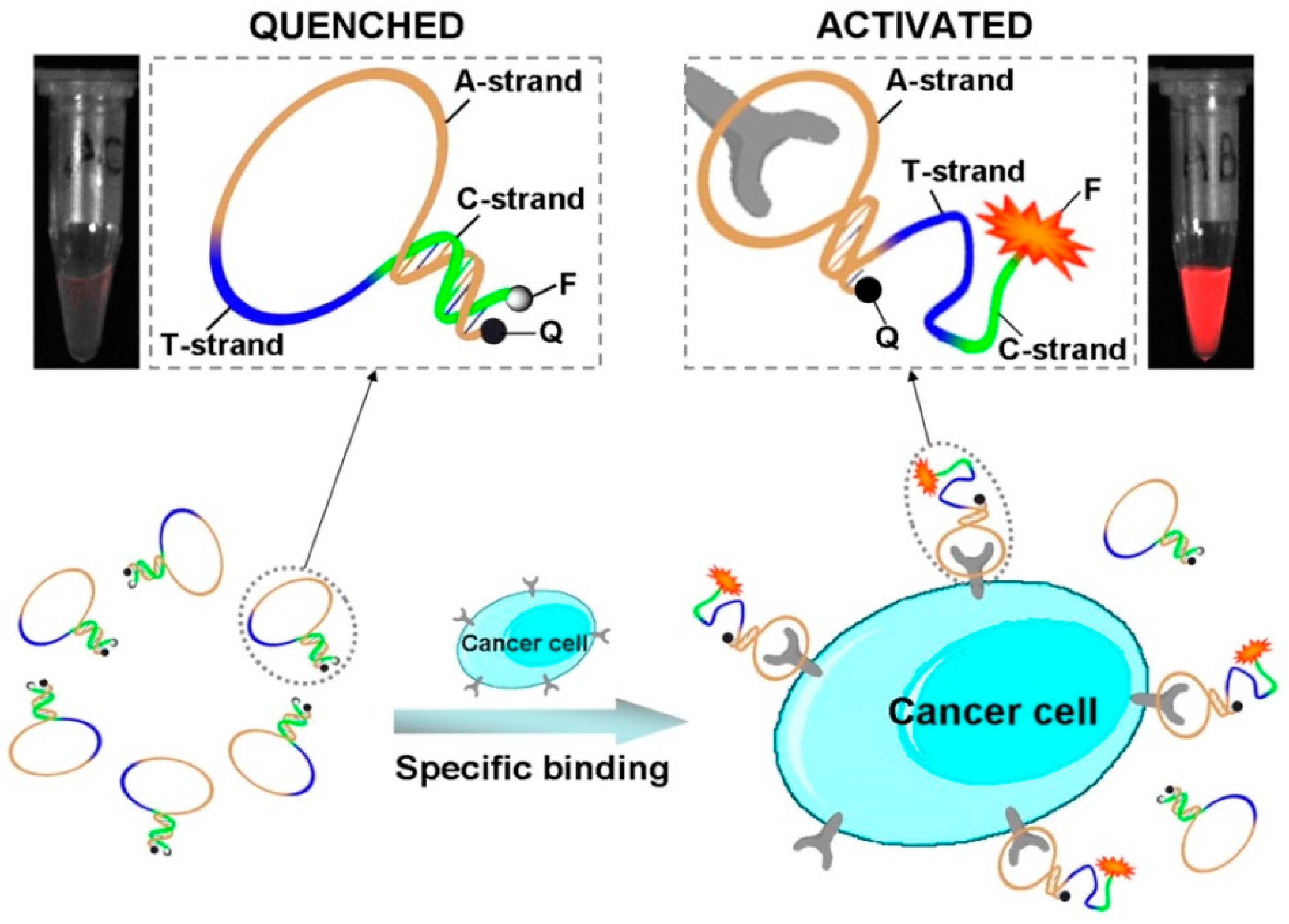 Cancers 09 00174 g020