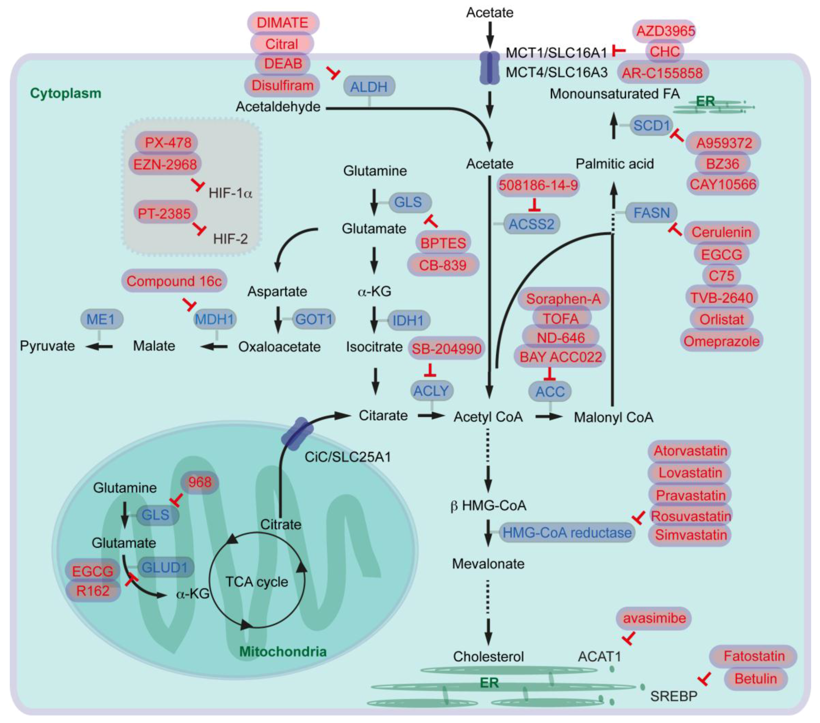 Cancers 10 00003 g003