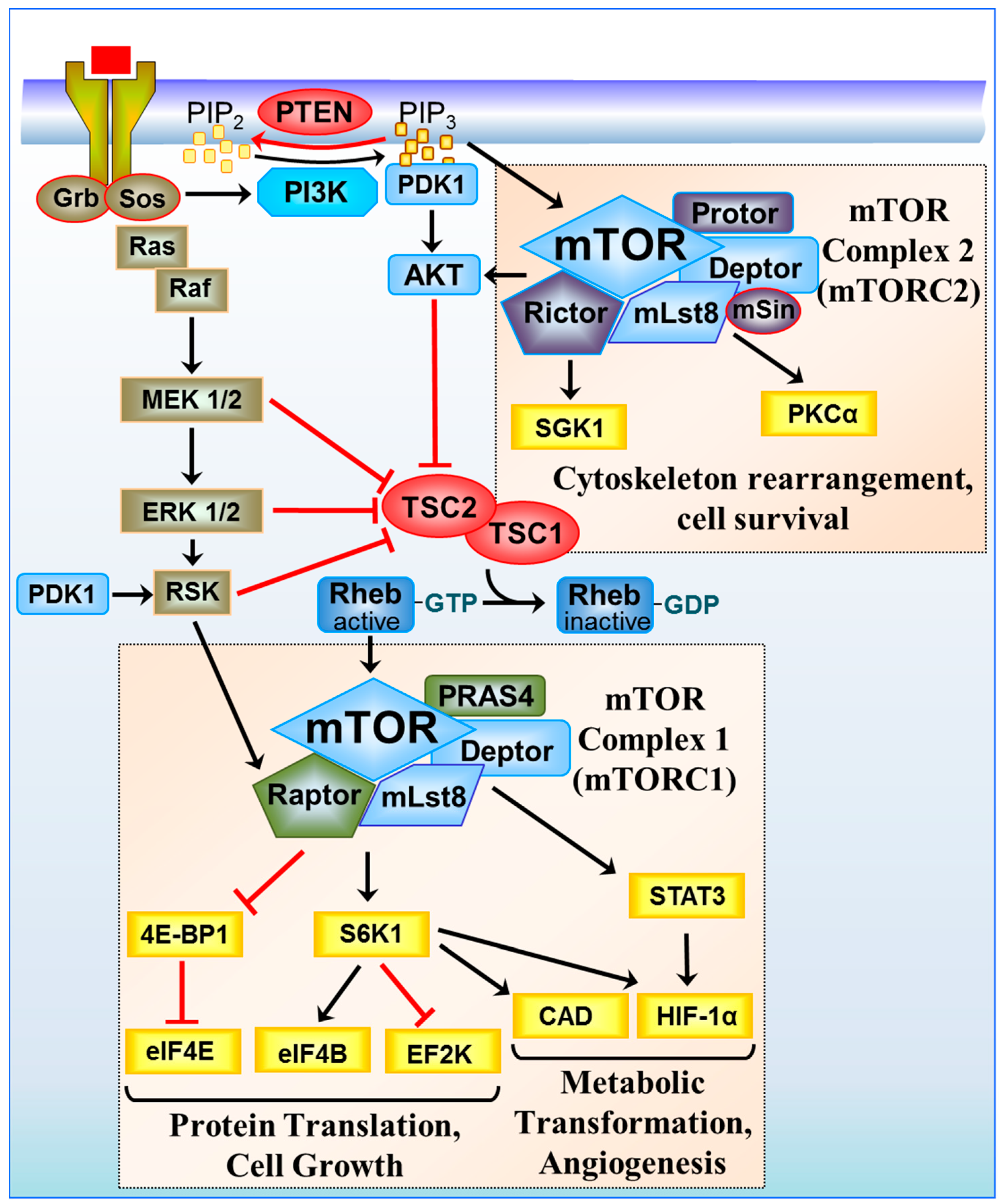 Cancers 10 00005 g001