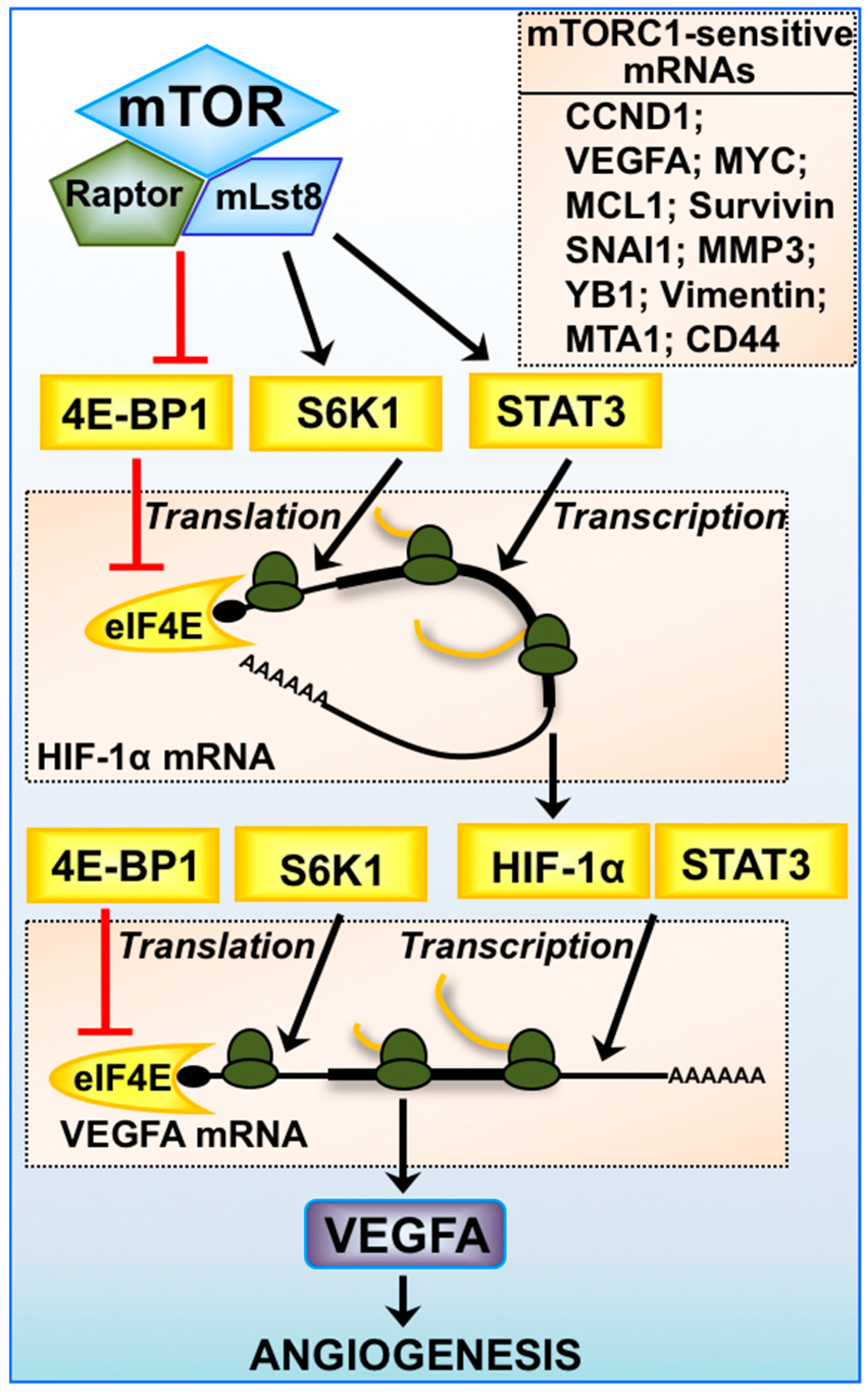 Cancers 10 00005 g002