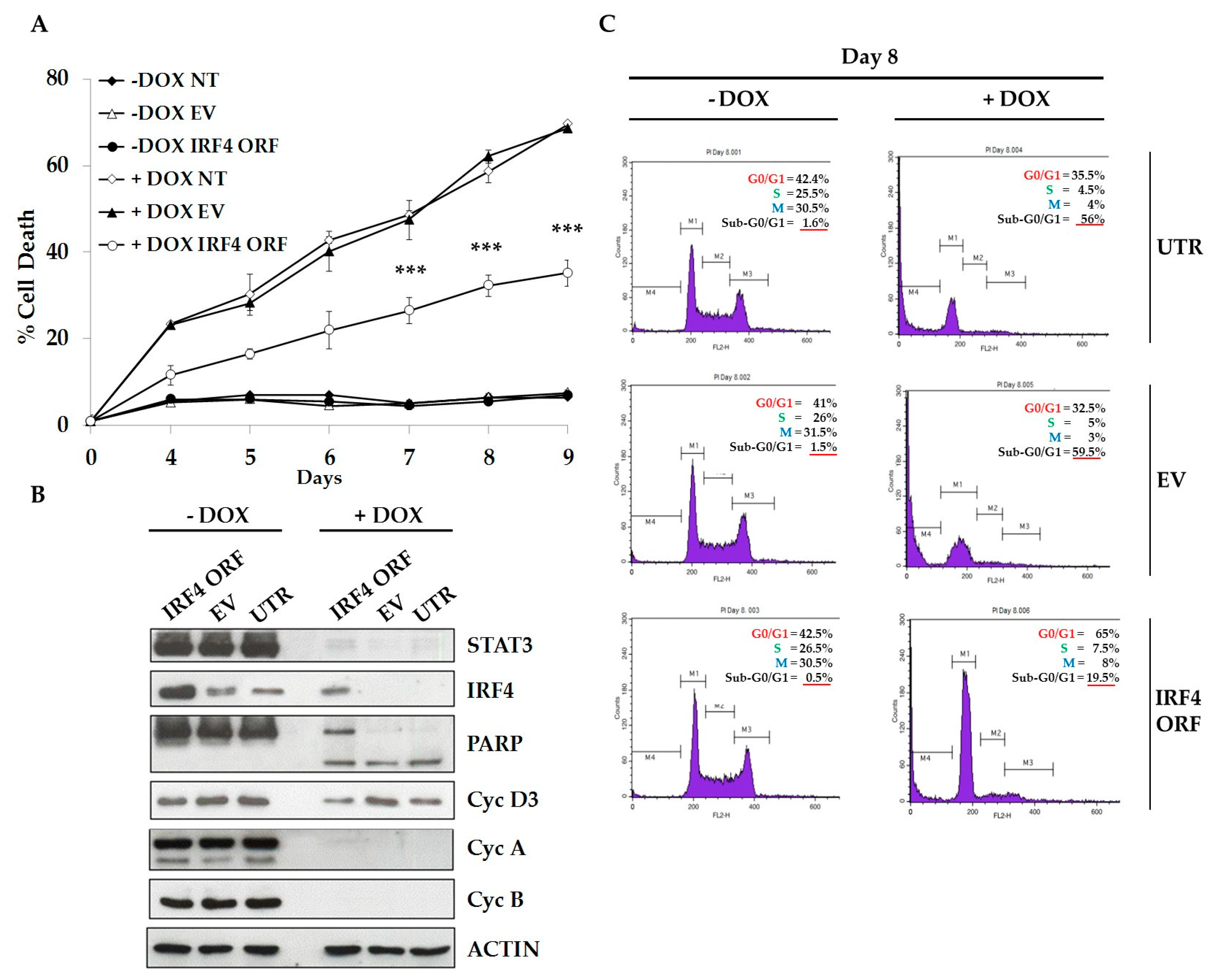 Cancers 10 00021 g004