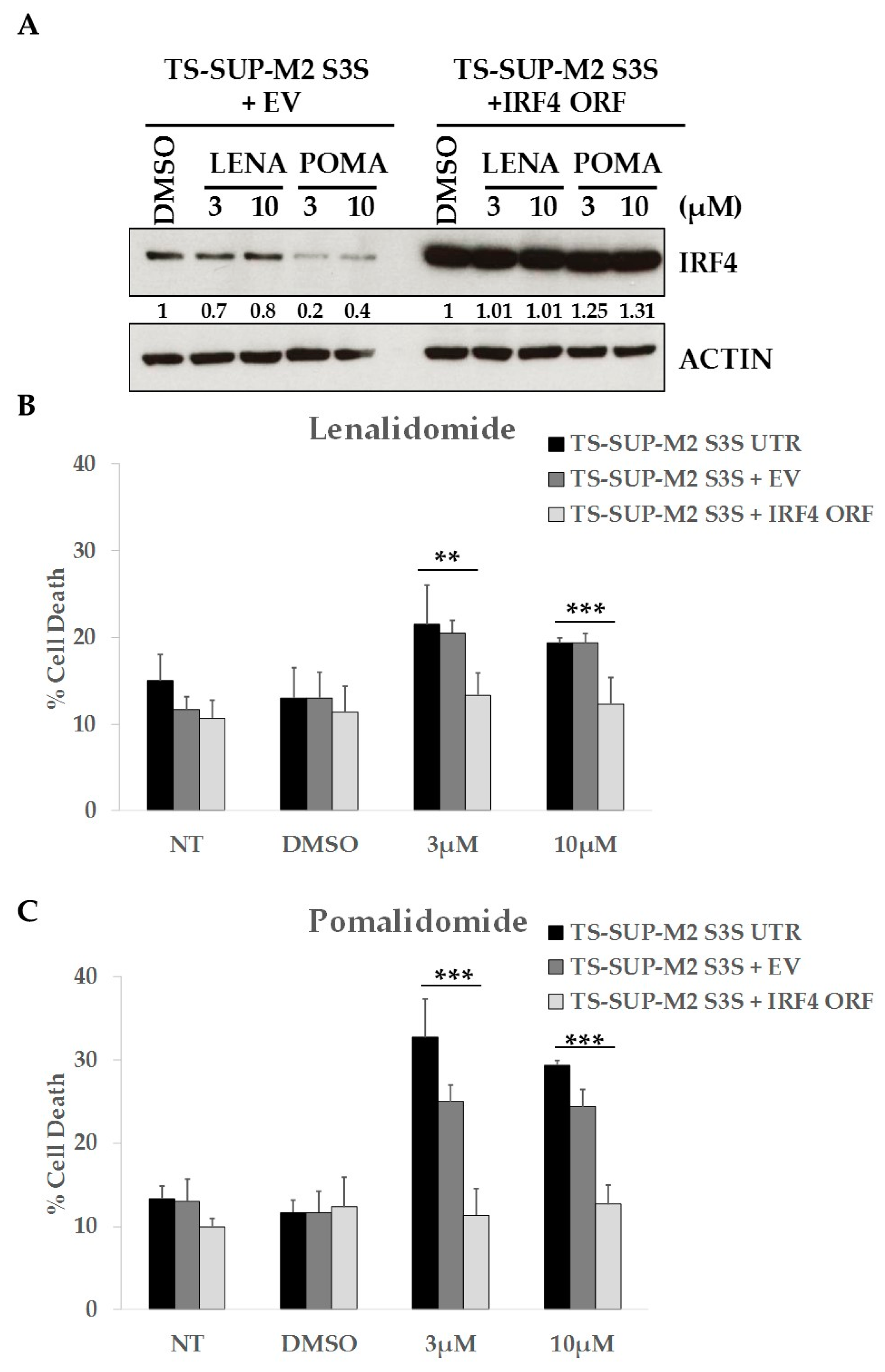 Cancers 10 00021 g005