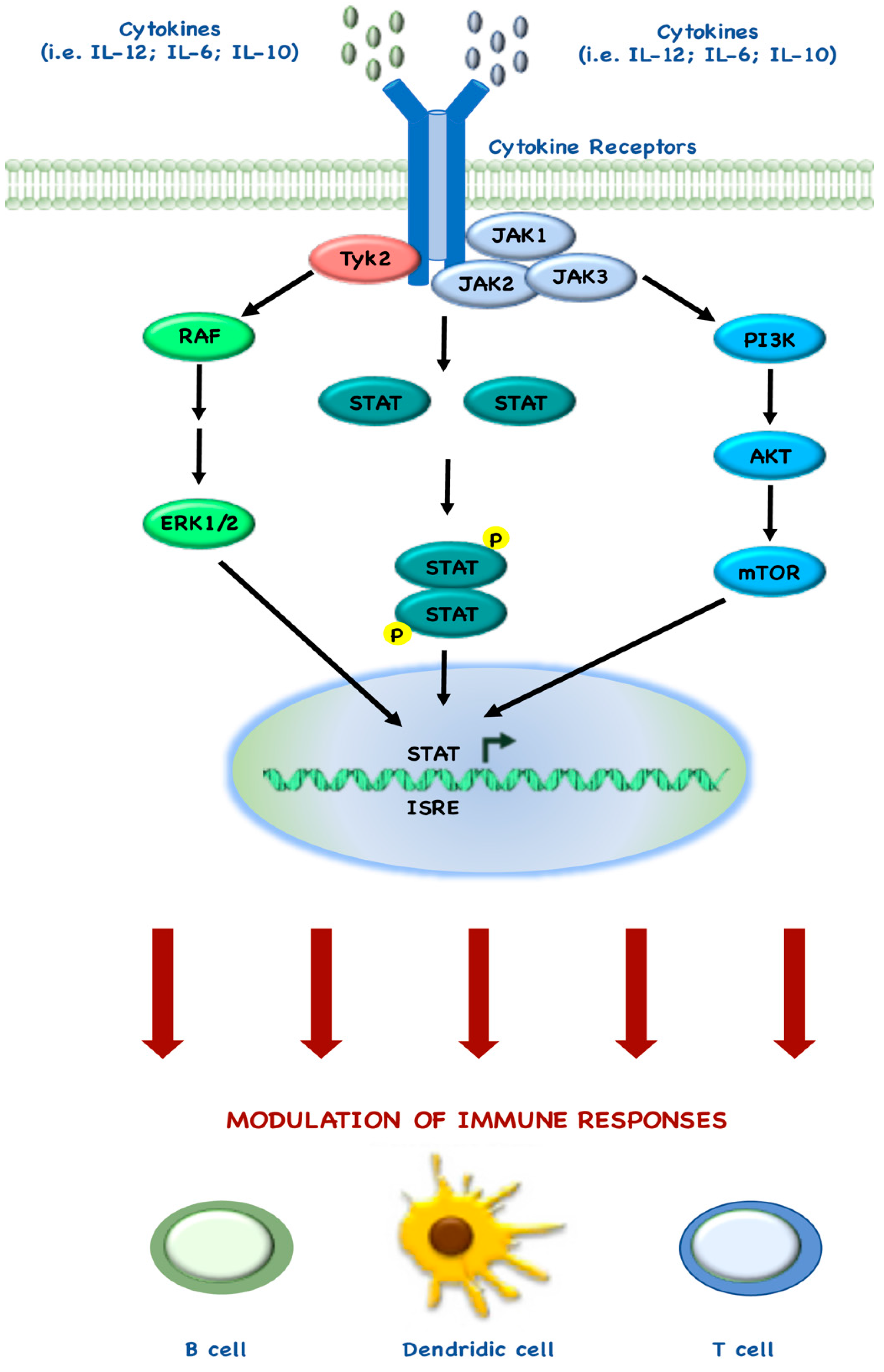 Cancers 10 00023 g003