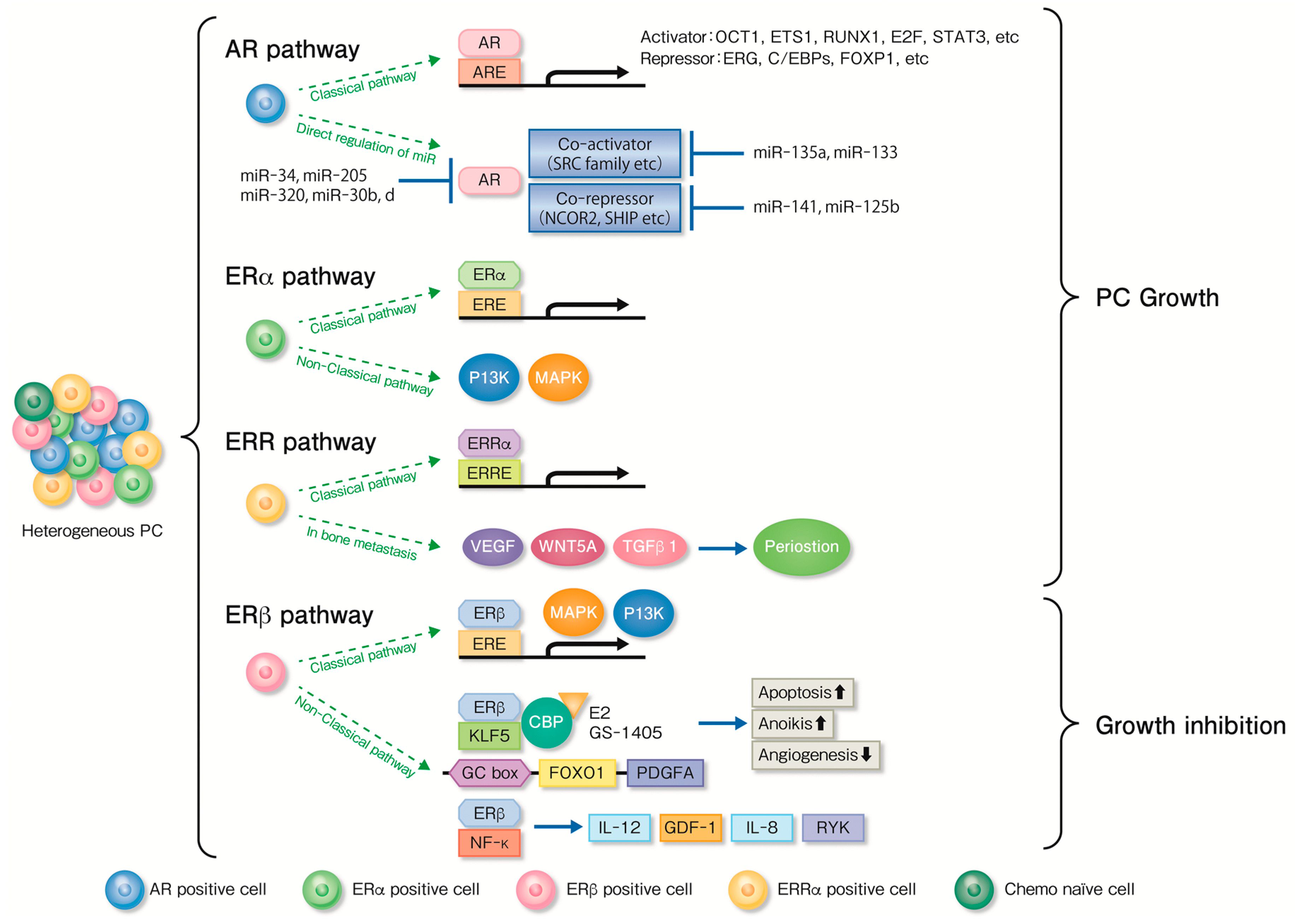 Cancers 10 00029 g001