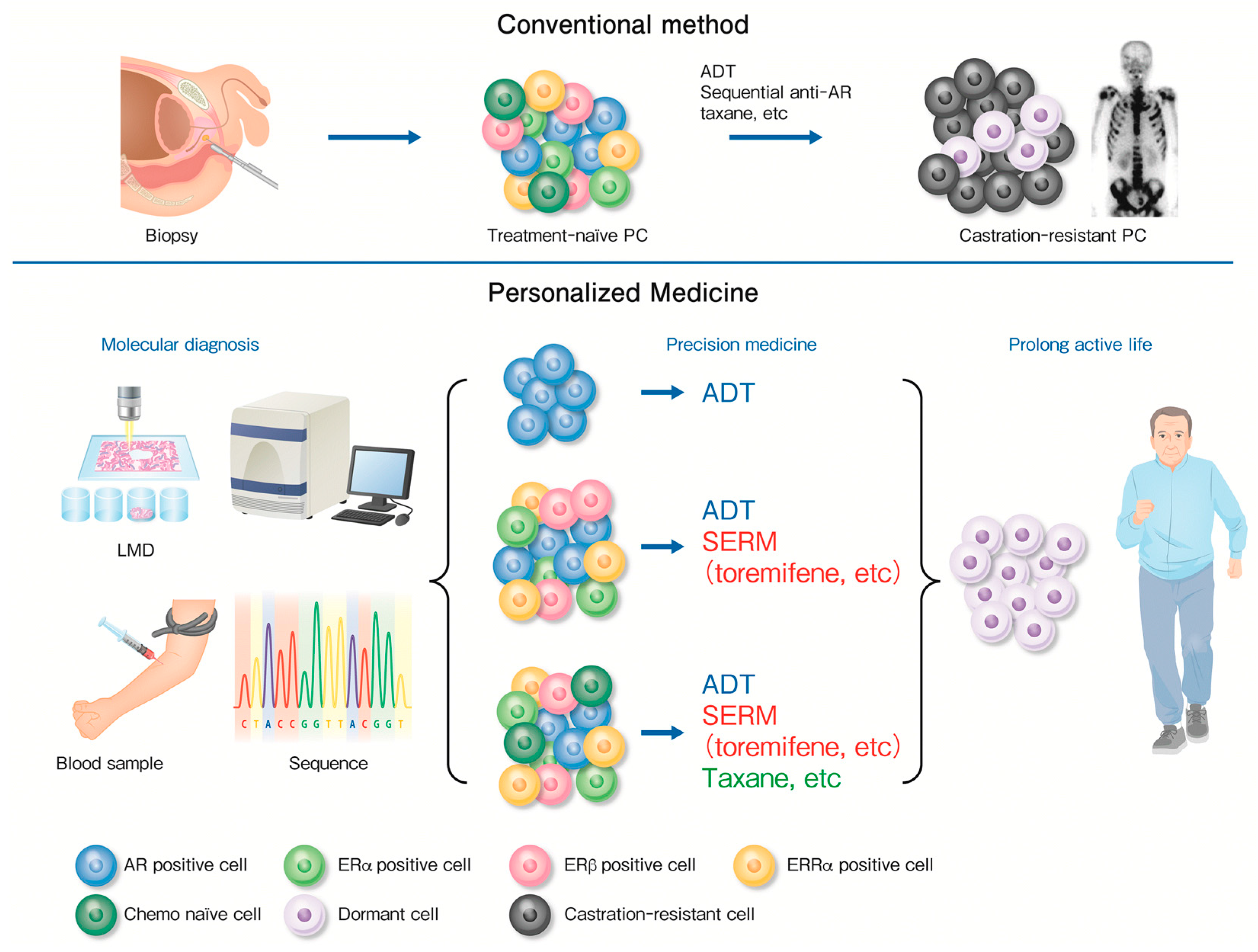 Cancers 10 00029 g002