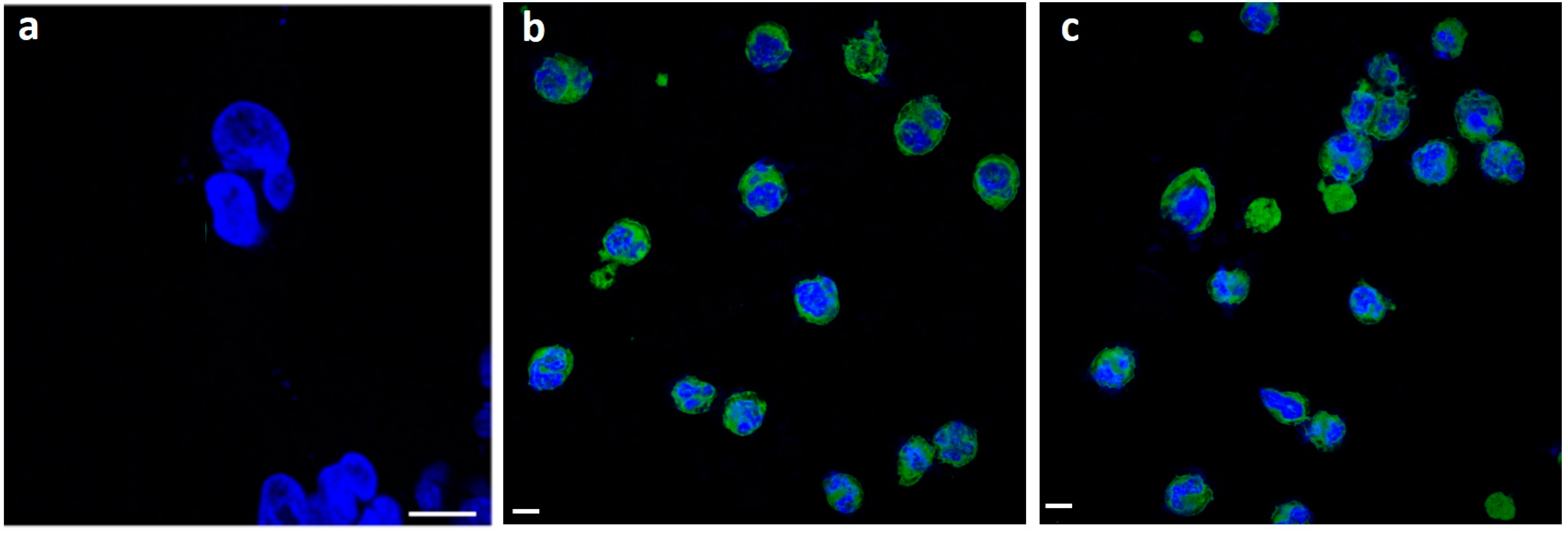 Cancers 10 00031 g002