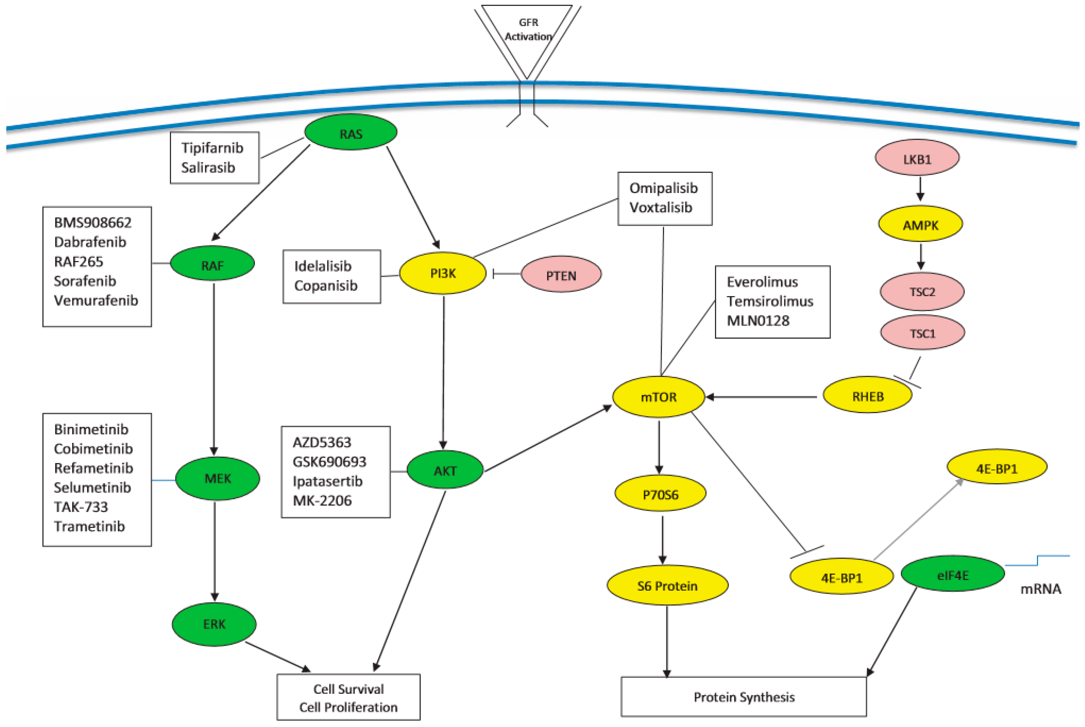 Cancers 10 00036 g001