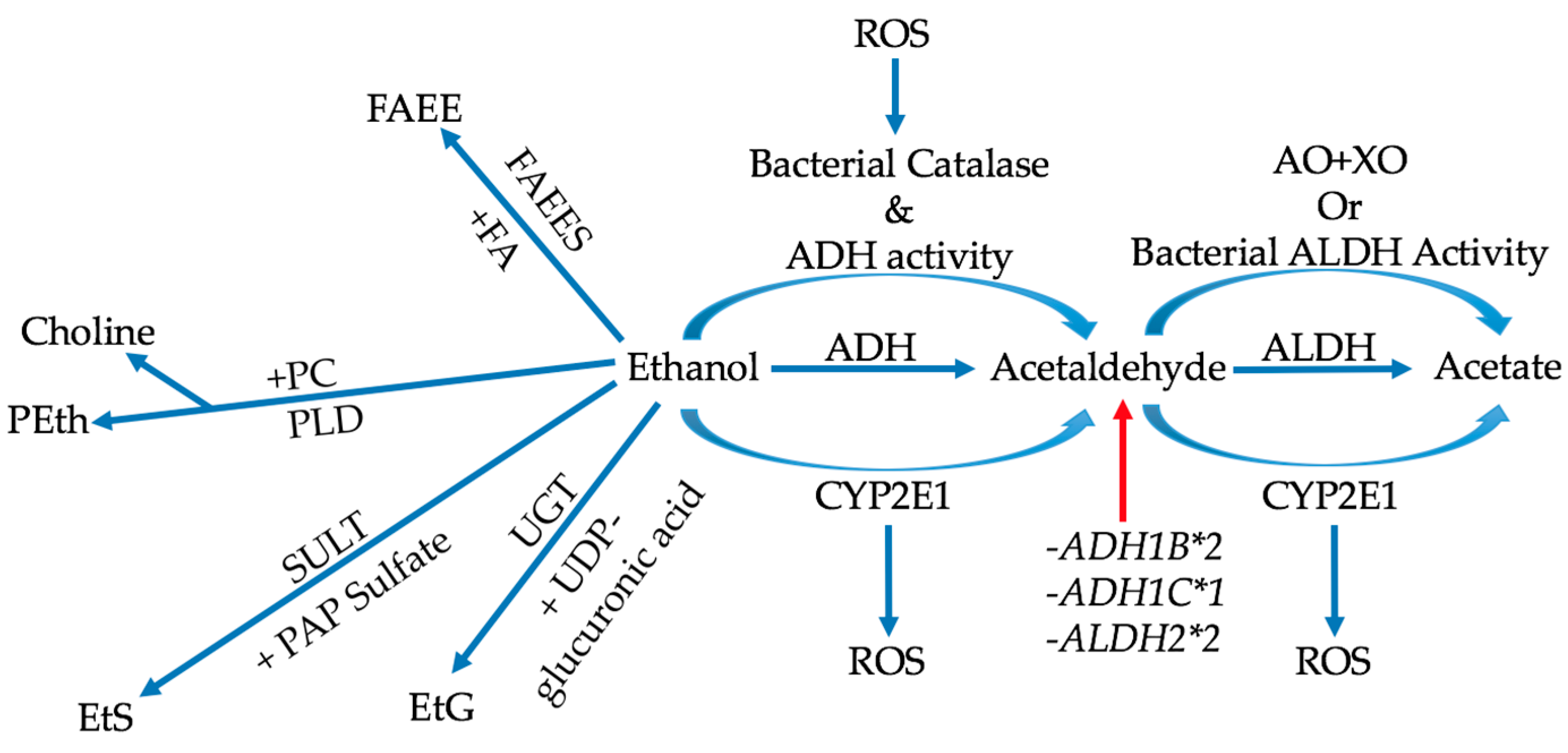 Cancers 10 00038 g001