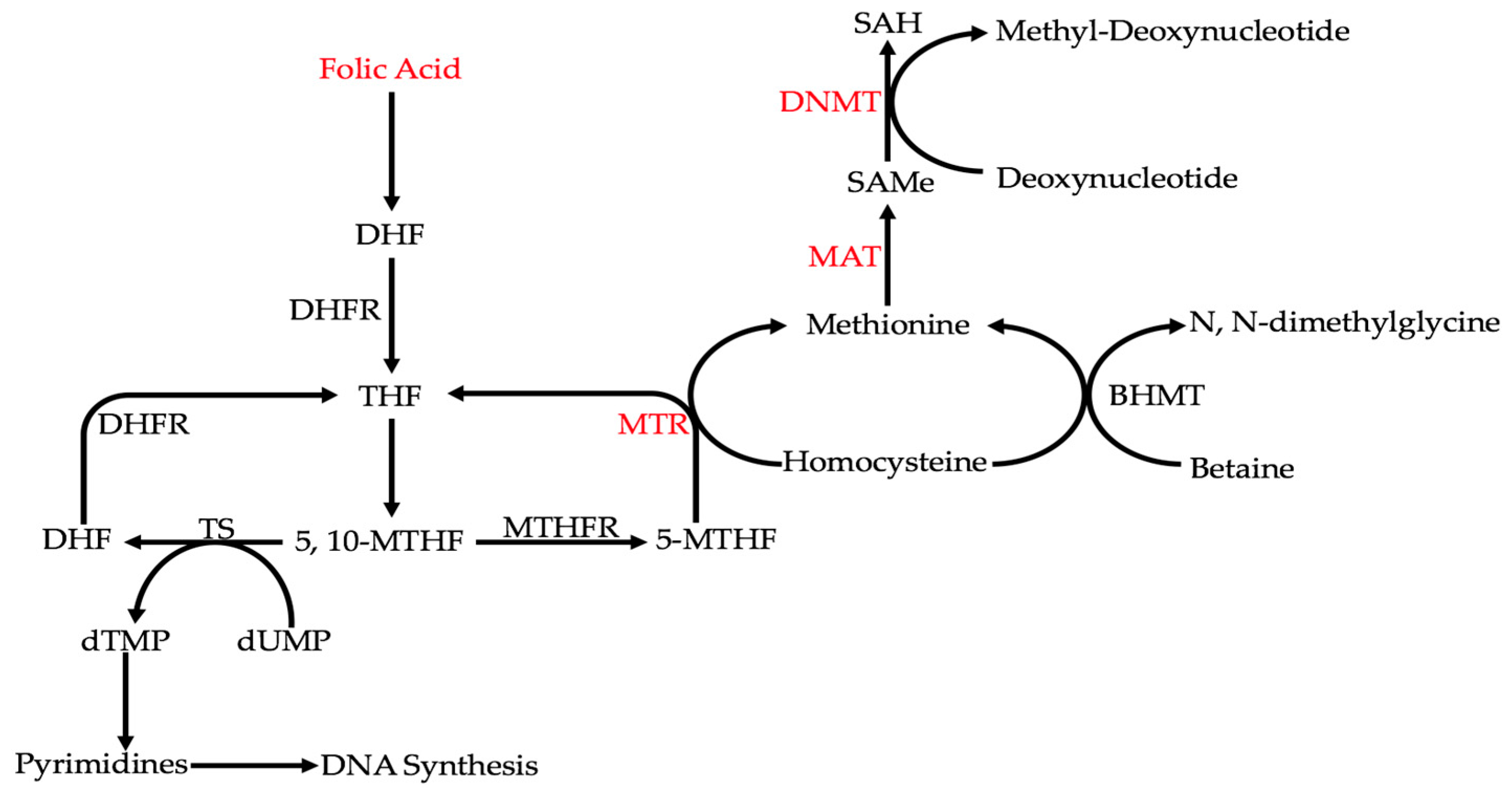 Cancers 10 00038 g002