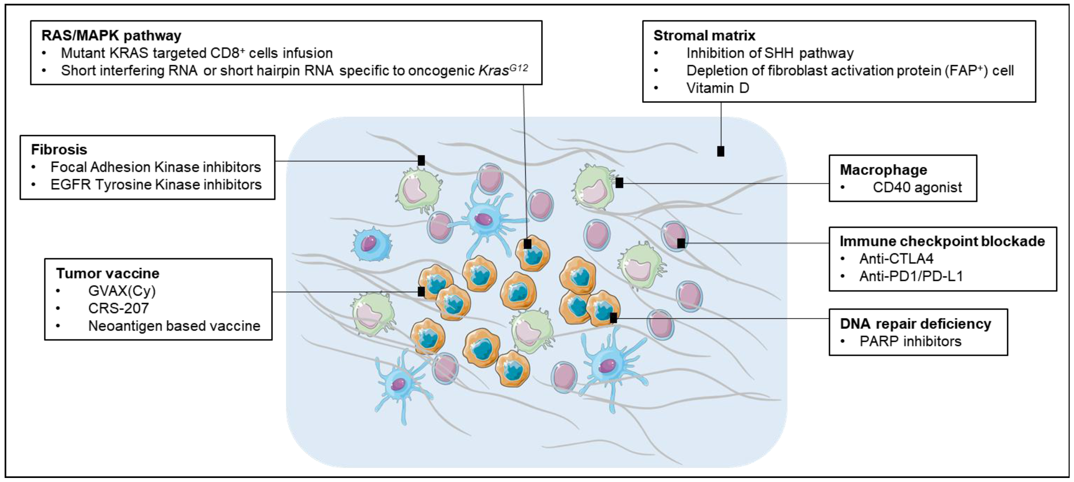 Cancers 10 00039 g002