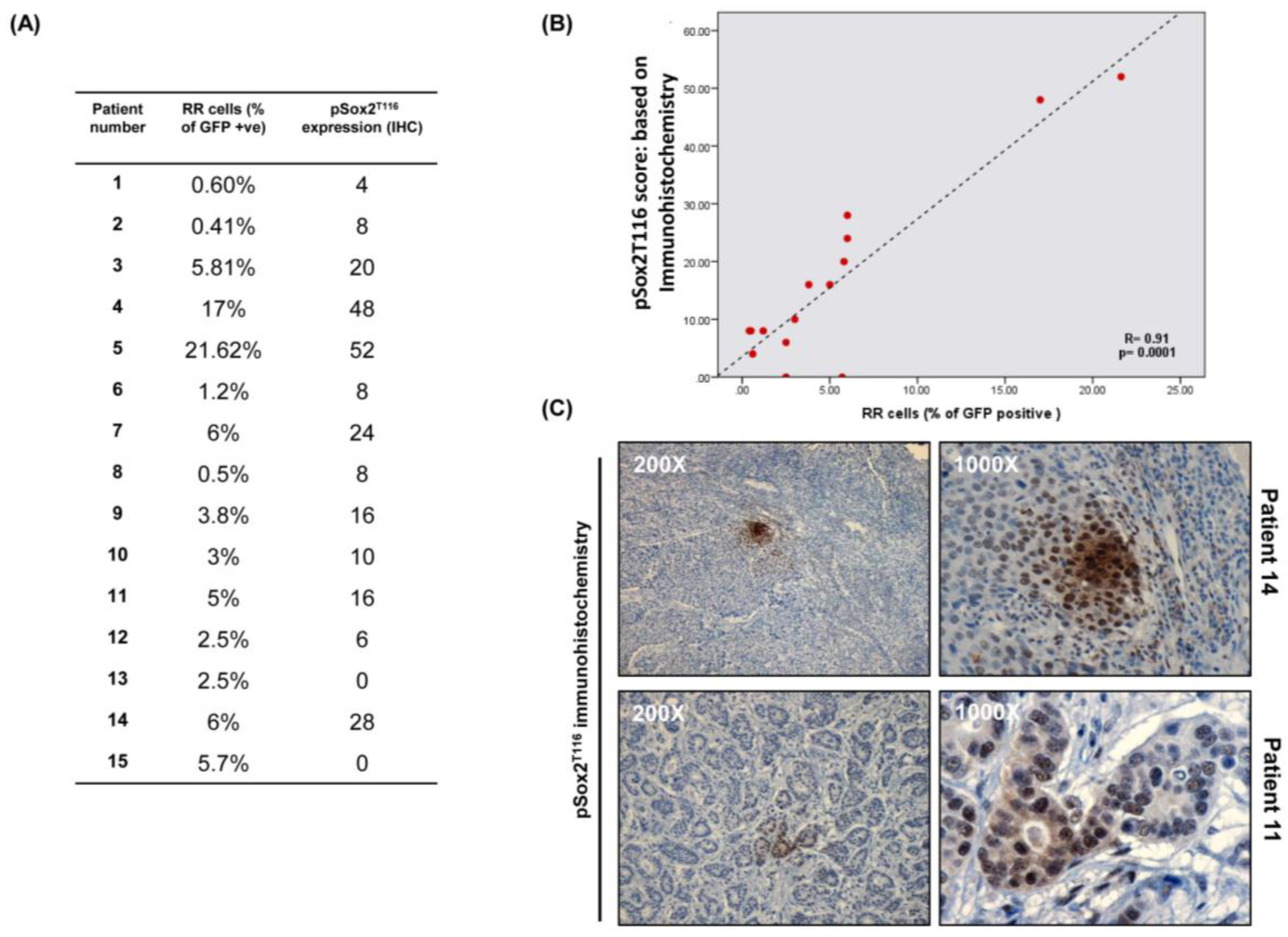 Cancers 10 00041 g005