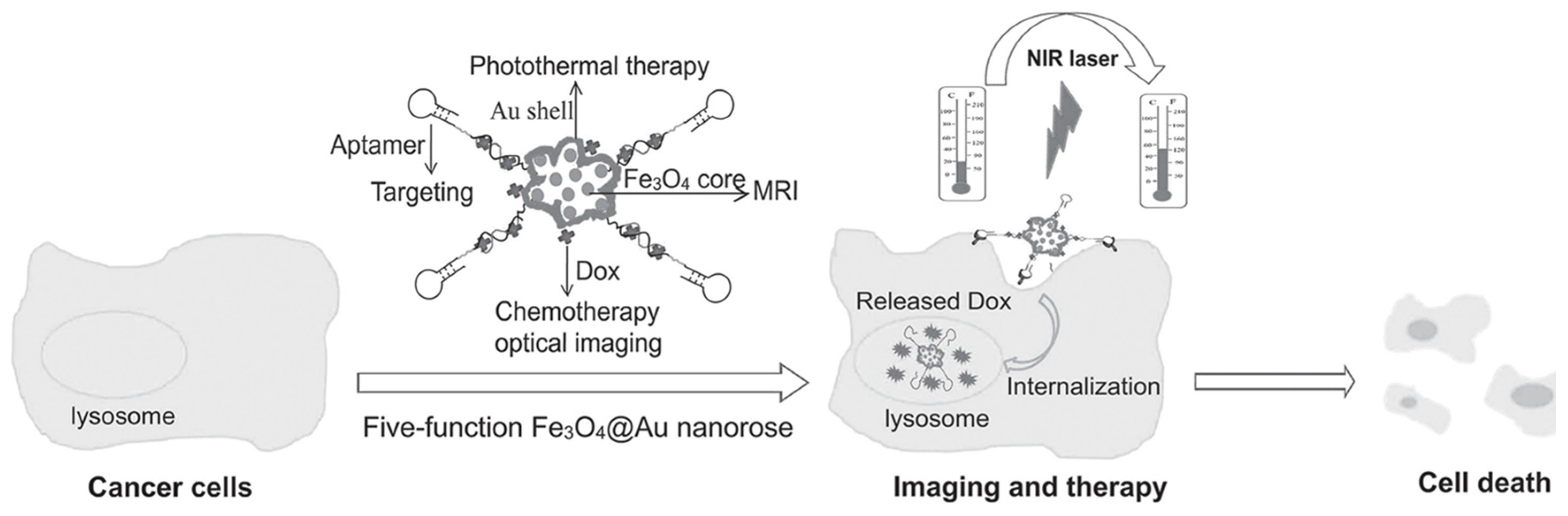 Cancers 10 00047 g003