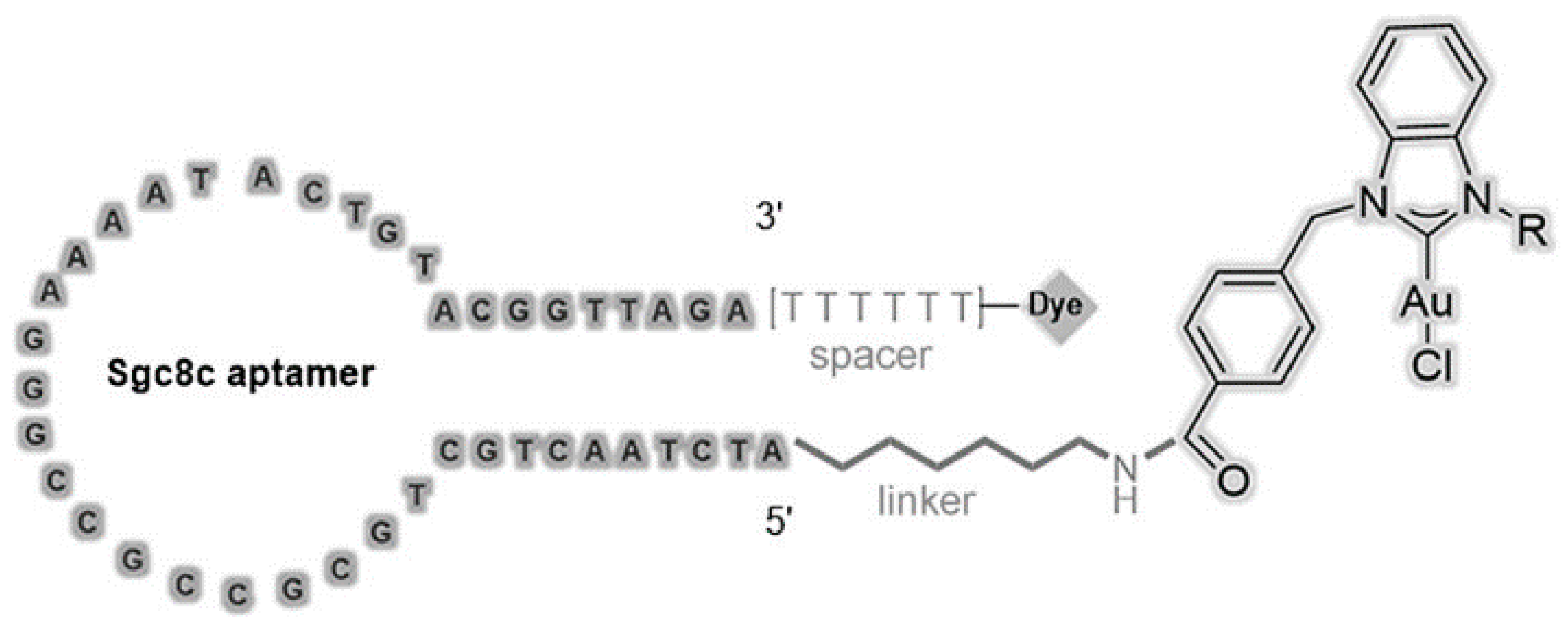 Cancers 10 00047 g005
